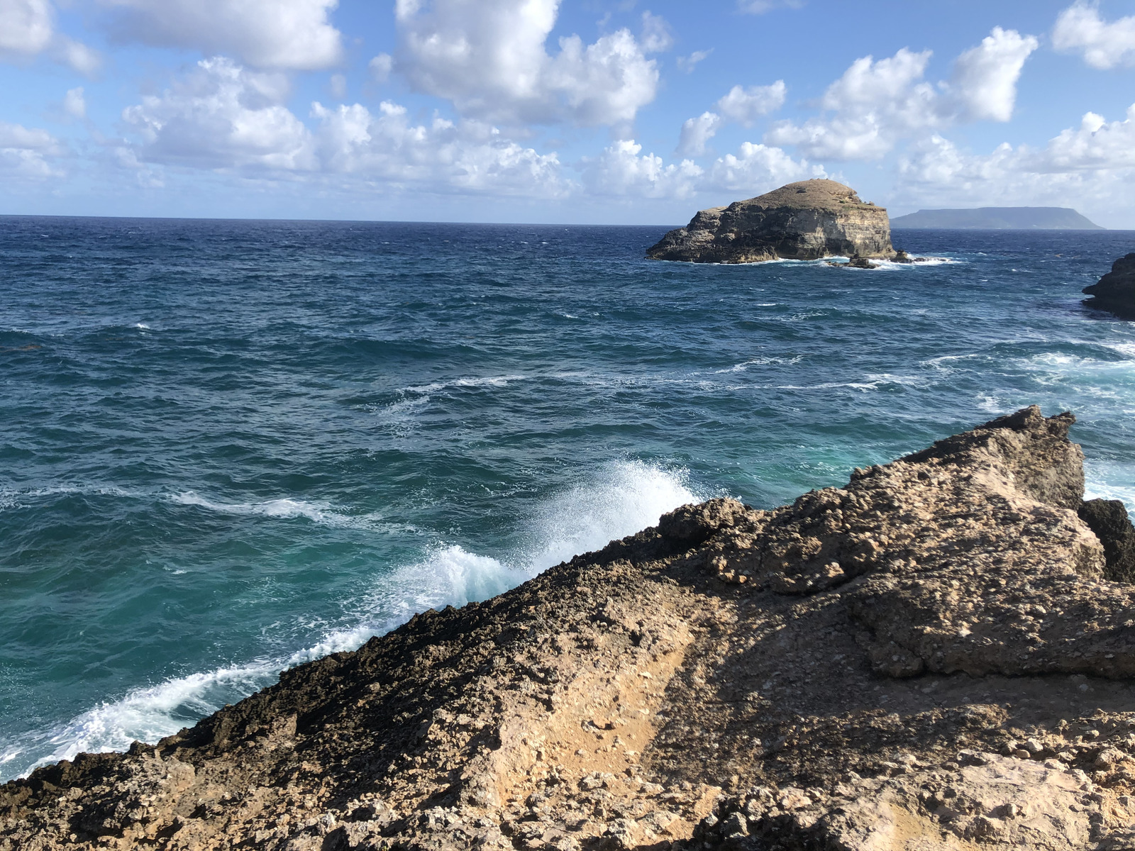 Picture Guadeloupe Castle Point 2021-02 347 - Sightseeing Castle Point