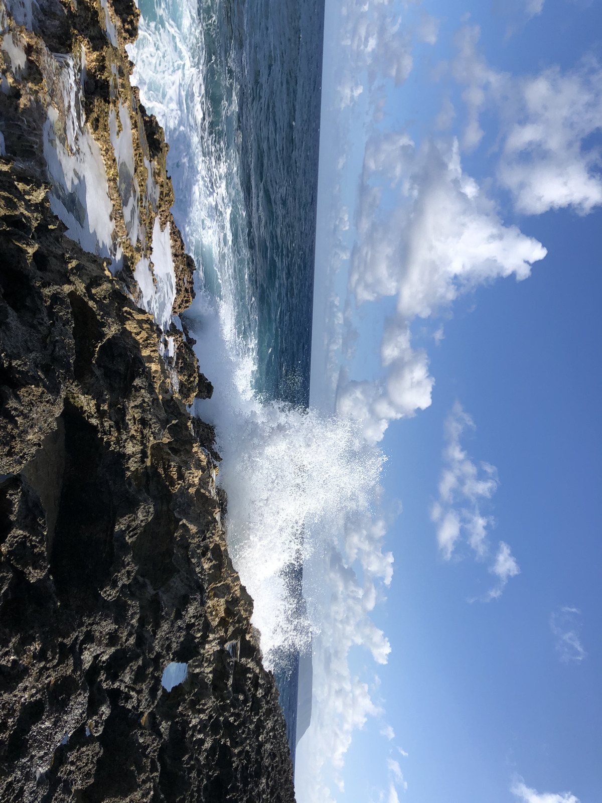 Picture Guadeloupe Castle Point 2021-02 238 - Tourist Places Castle Point