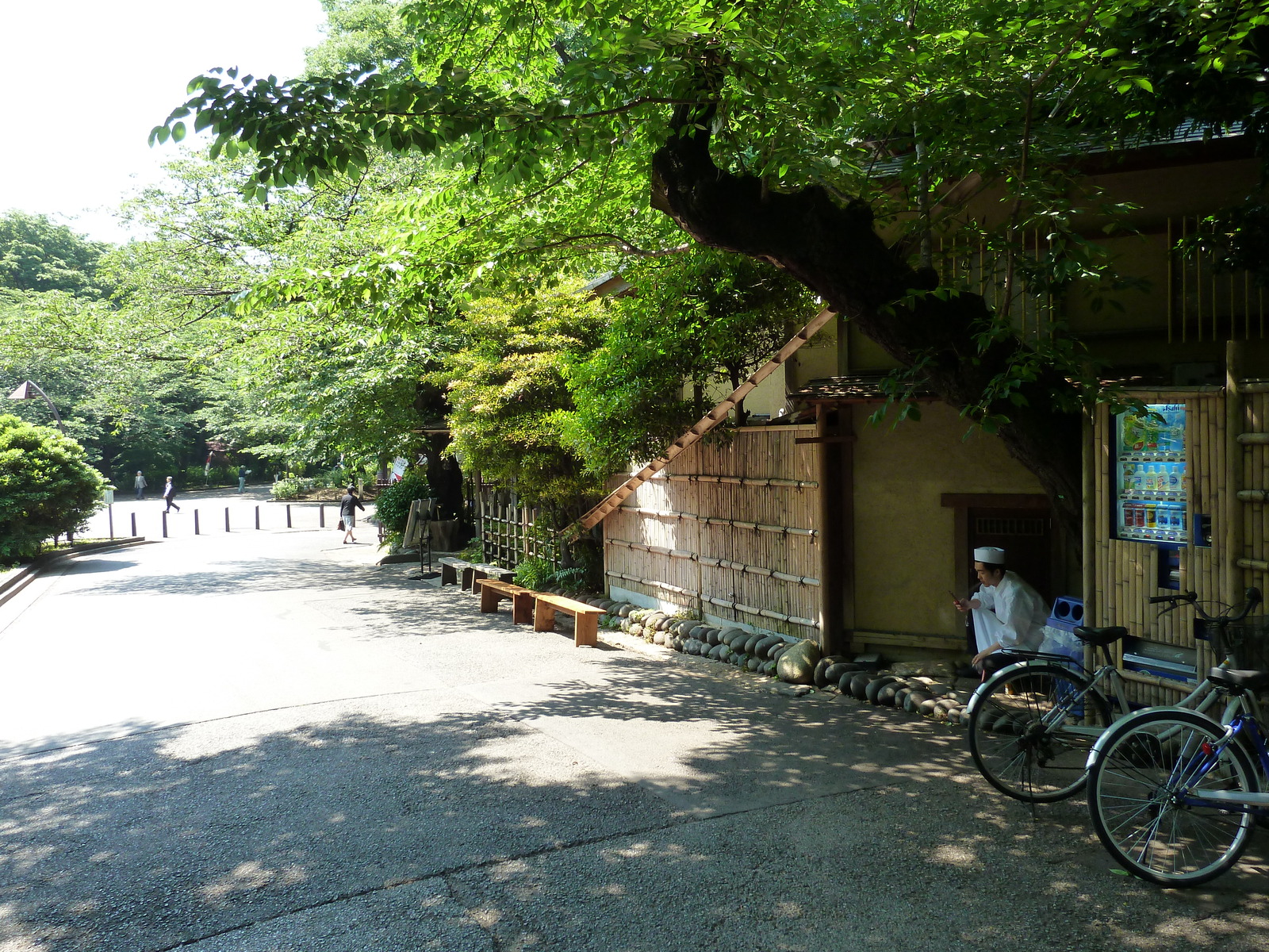 Picture Japan Tokyo Ueno 2010-06 14 - Picture Ueno