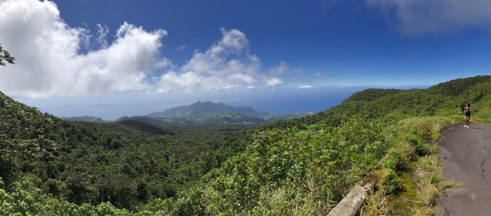 Picture Guadeloupe La Grande Soufriere 2021-02 54 - Discover La Grande Soufriere