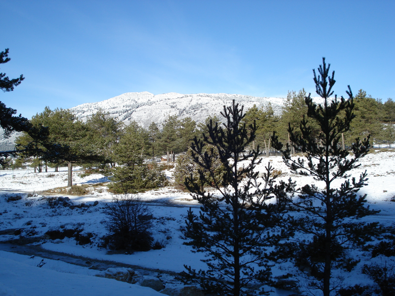 Picture France Coursegoule to Greolieres les neiges road 2007-01 14 - Flights Coursegoule to Greolieres les neiges road