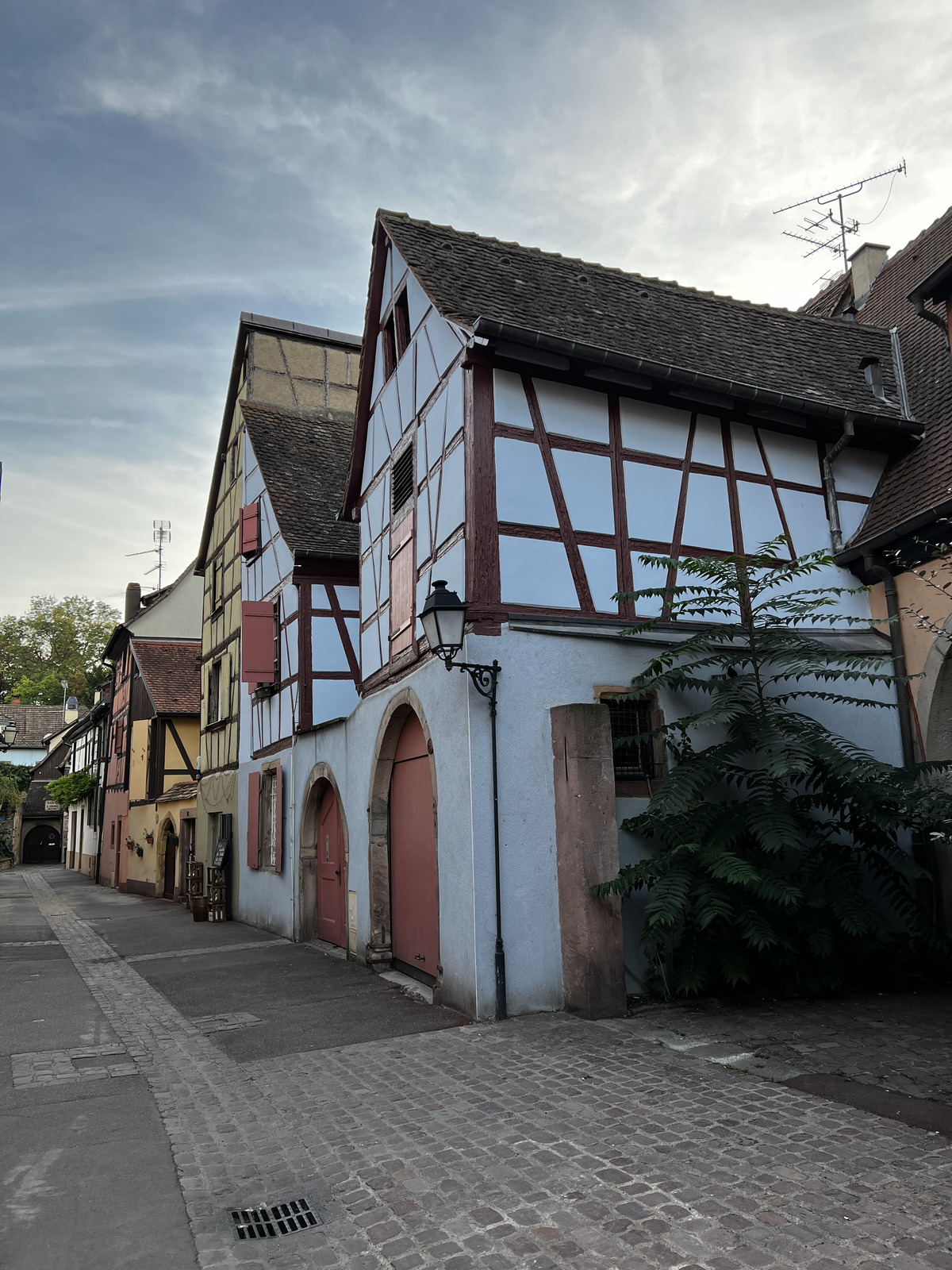 Picture France Colmar 2023-10 93 - Photographers Colmar