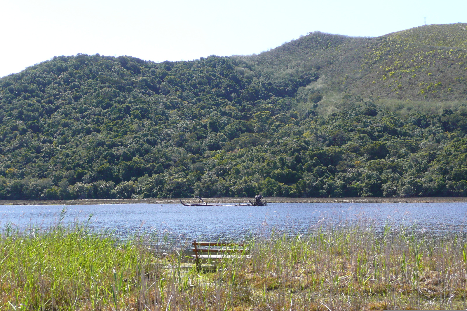 Picture South Africa Nature's Valley 2008-09 76 - Photographer Nature's Valley