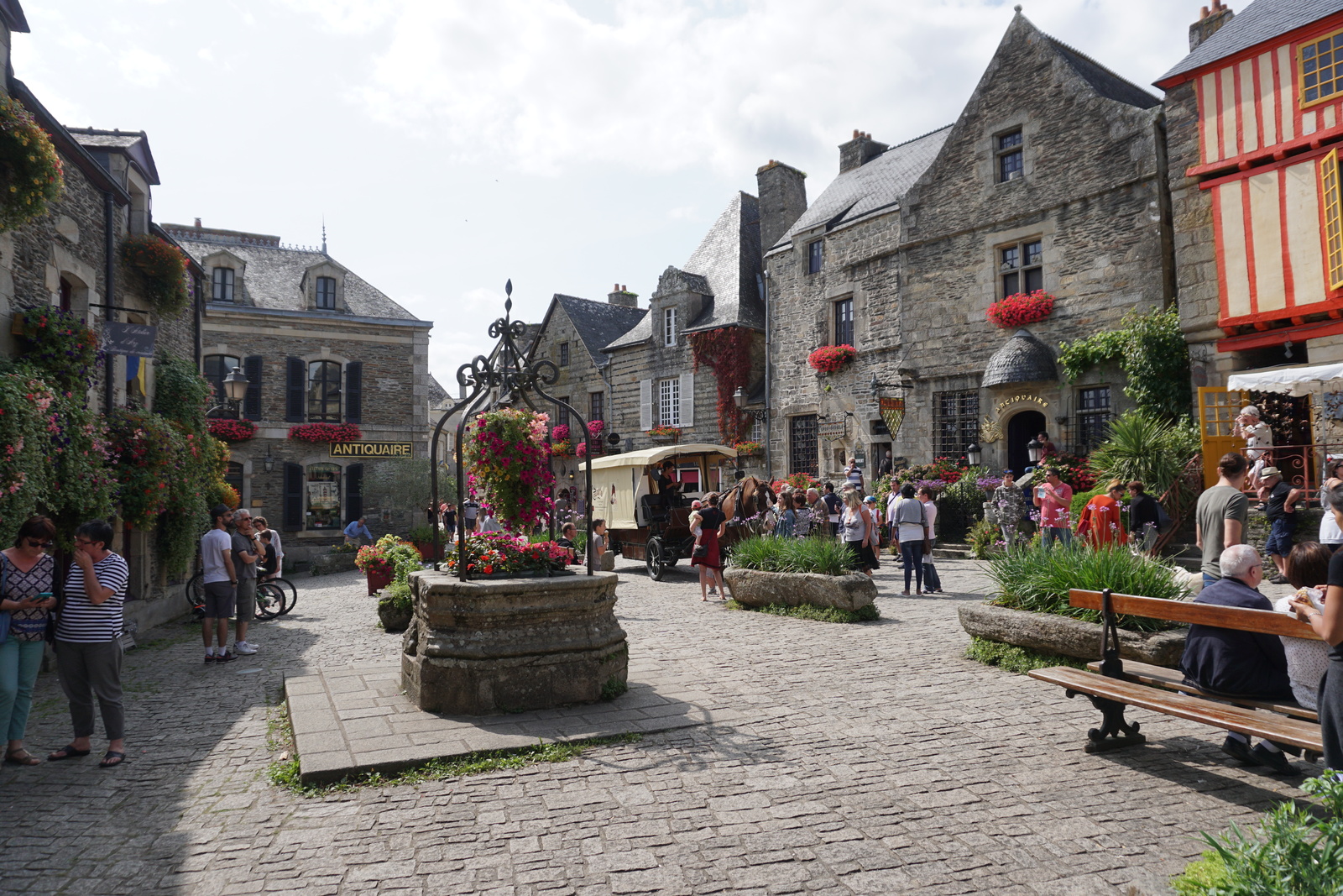 Picture France Rochefort-en-Terre 2017-08 42 - Flight Rochefort-en-Terre