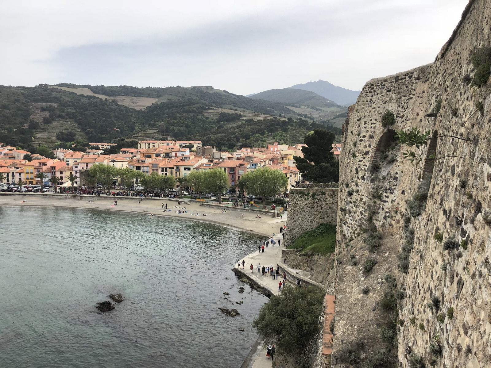 Picture France Collioure 2018-04 354 - Tourist Places Collioure