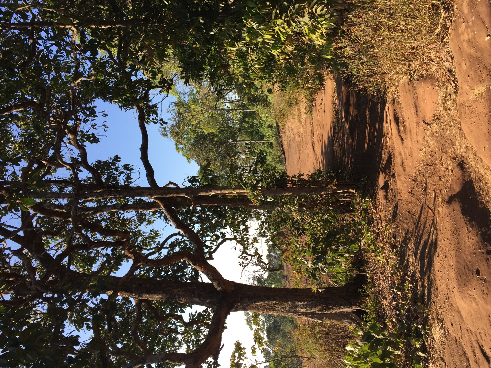 Picture Thailand Phu Hin Rong Kla National Park 2014-12 247 - Sightseeing Phu Hin Rong Kla National Park