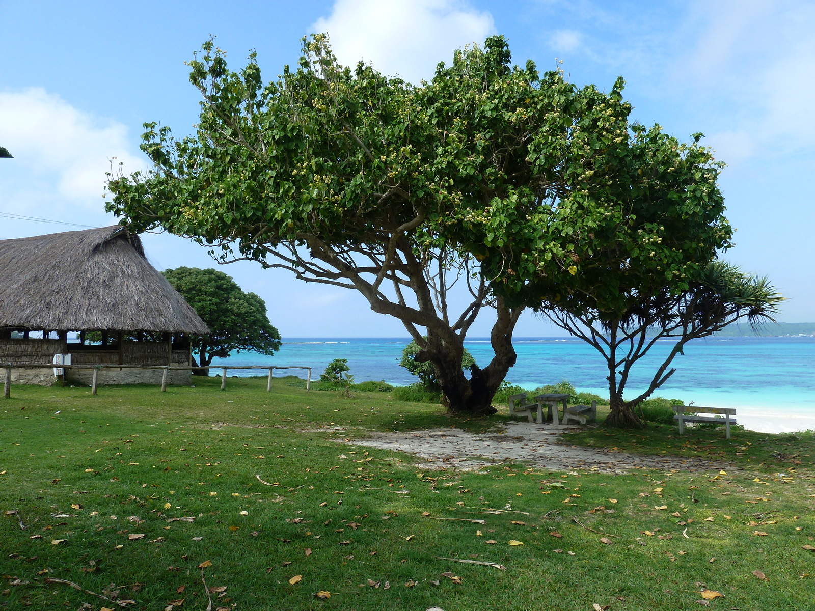 Picture New Caledonia 2010-05 88 - Discover New Caledonia