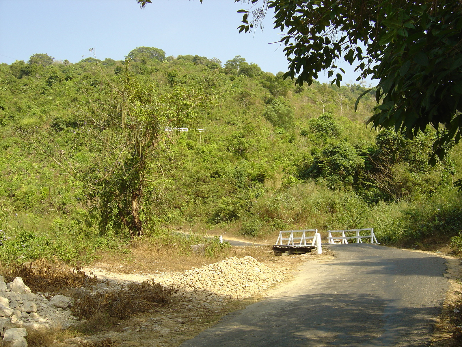 Picture Myanmar Road from Dawei to Maungmagan beach 2005-01 66 - Journey Road from Dawei to Maungmagan beach