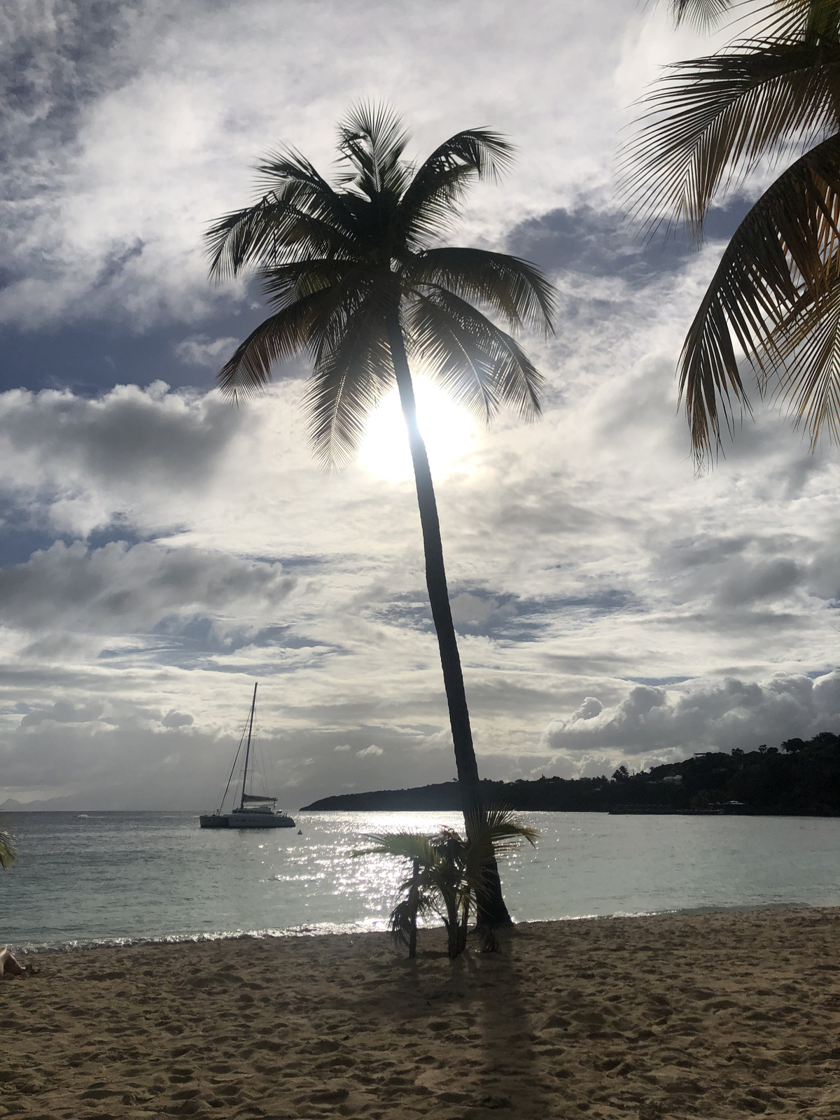 Picture Guadeloupe La Caravelle Beach 2021-02 102 - Sightseeing La Caravelle Beach