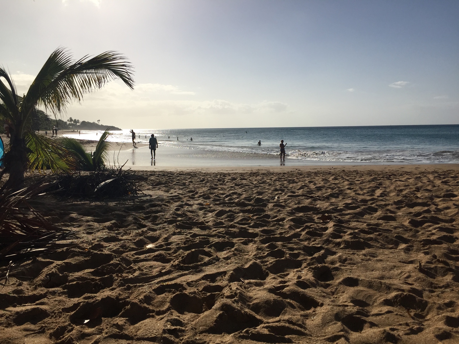 Picture Guadeloupe La Perle Beach 2021-02 1 - Discover La Perle Beach