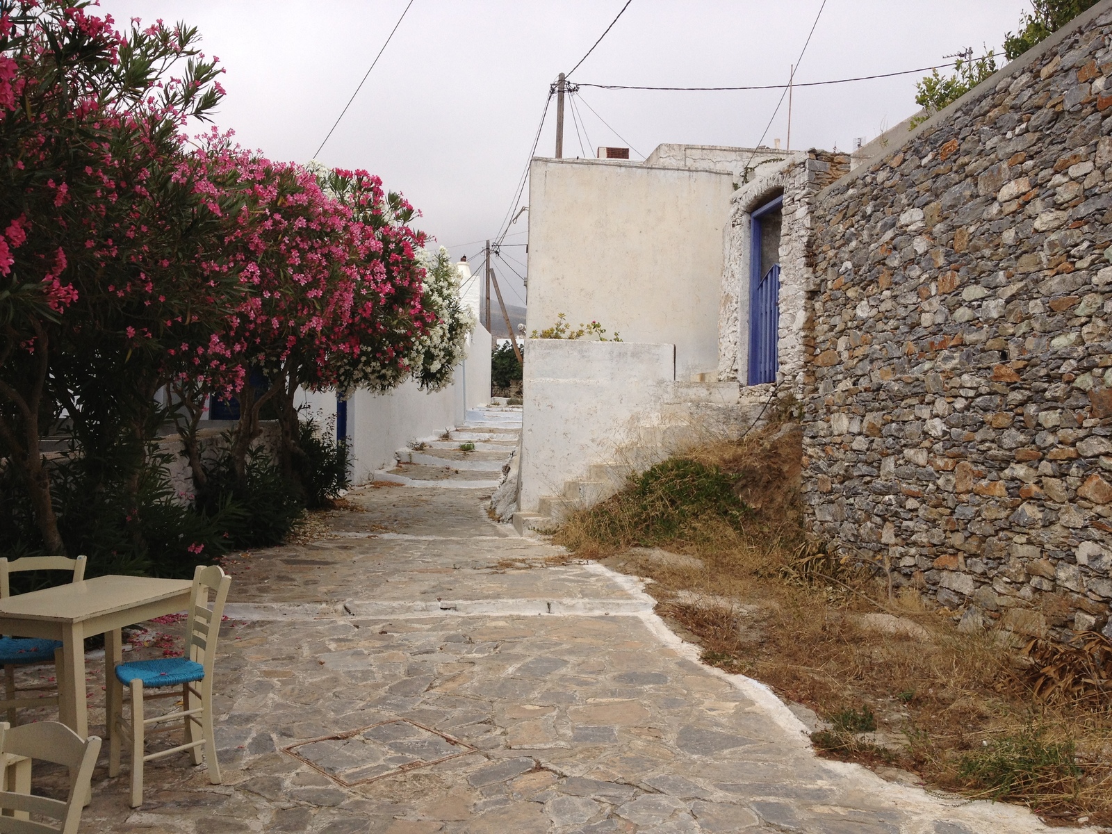 Picture Greece Amorgos 2014-07 253 - Flight Amorgos