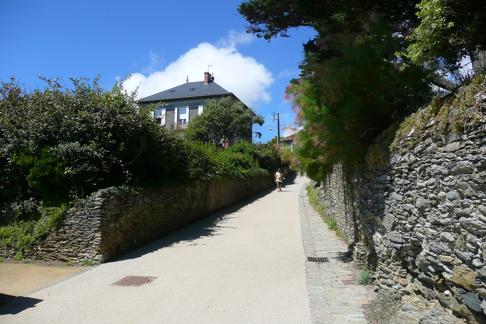 Picture France Pornic Sainte Marie sur Mer 2008-07 37 - Randonee Sainte Marie sur Mer