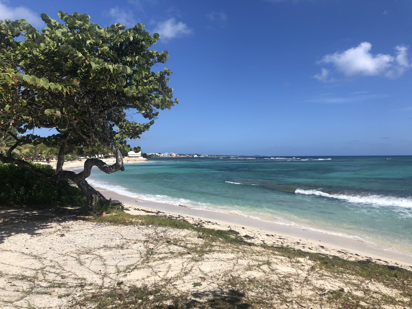 Picture Guadeloupe Saint Francois 2021-02 38 - Randonee Saint Francois