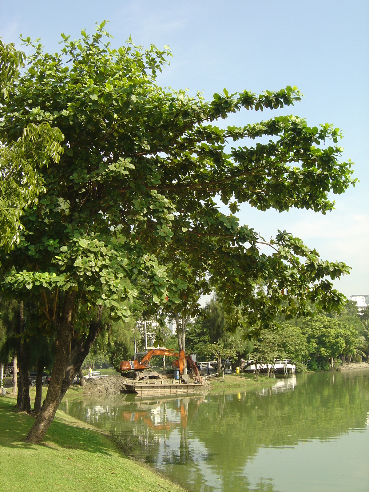 Picture Thailand Bangkok Lumpini Park 2005-12 30 - Trail Lumpini Park