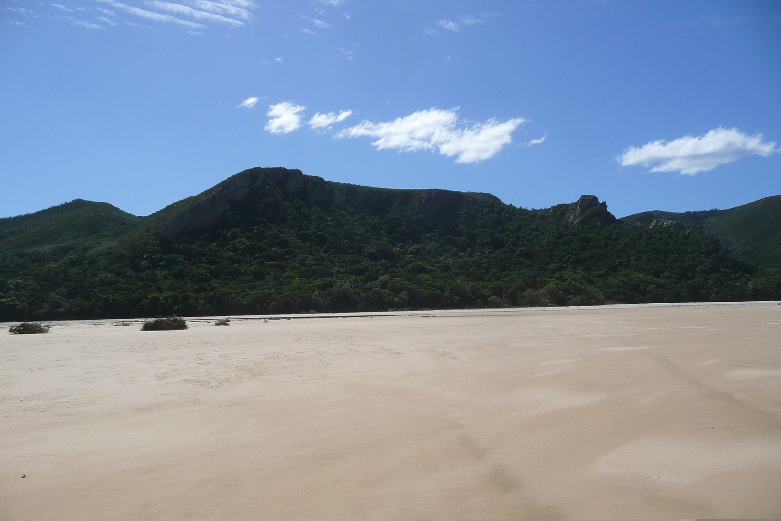 Picture South Africa Nature's Valley 2008-09 28 - Travels Nature's Valley