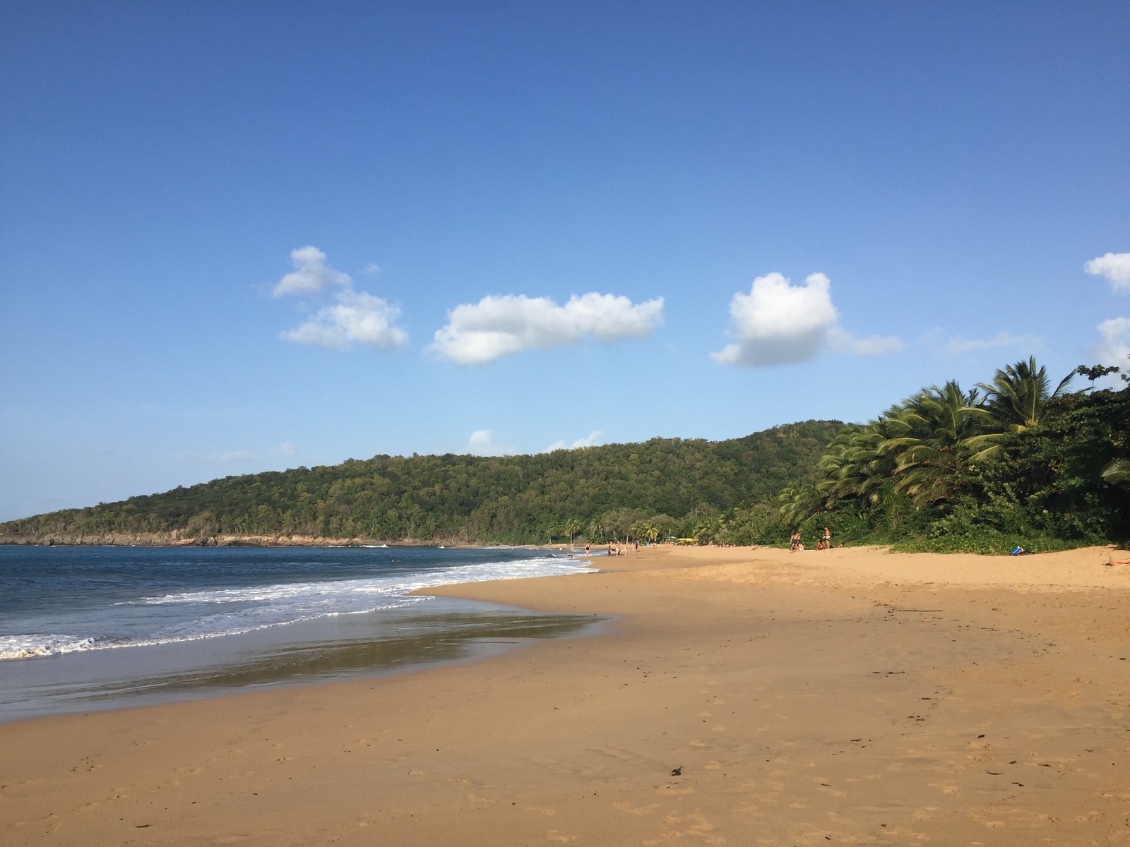 Picture Guadeloupe La Perle Beach 2021-02 26 - Pictures La Perle Beach