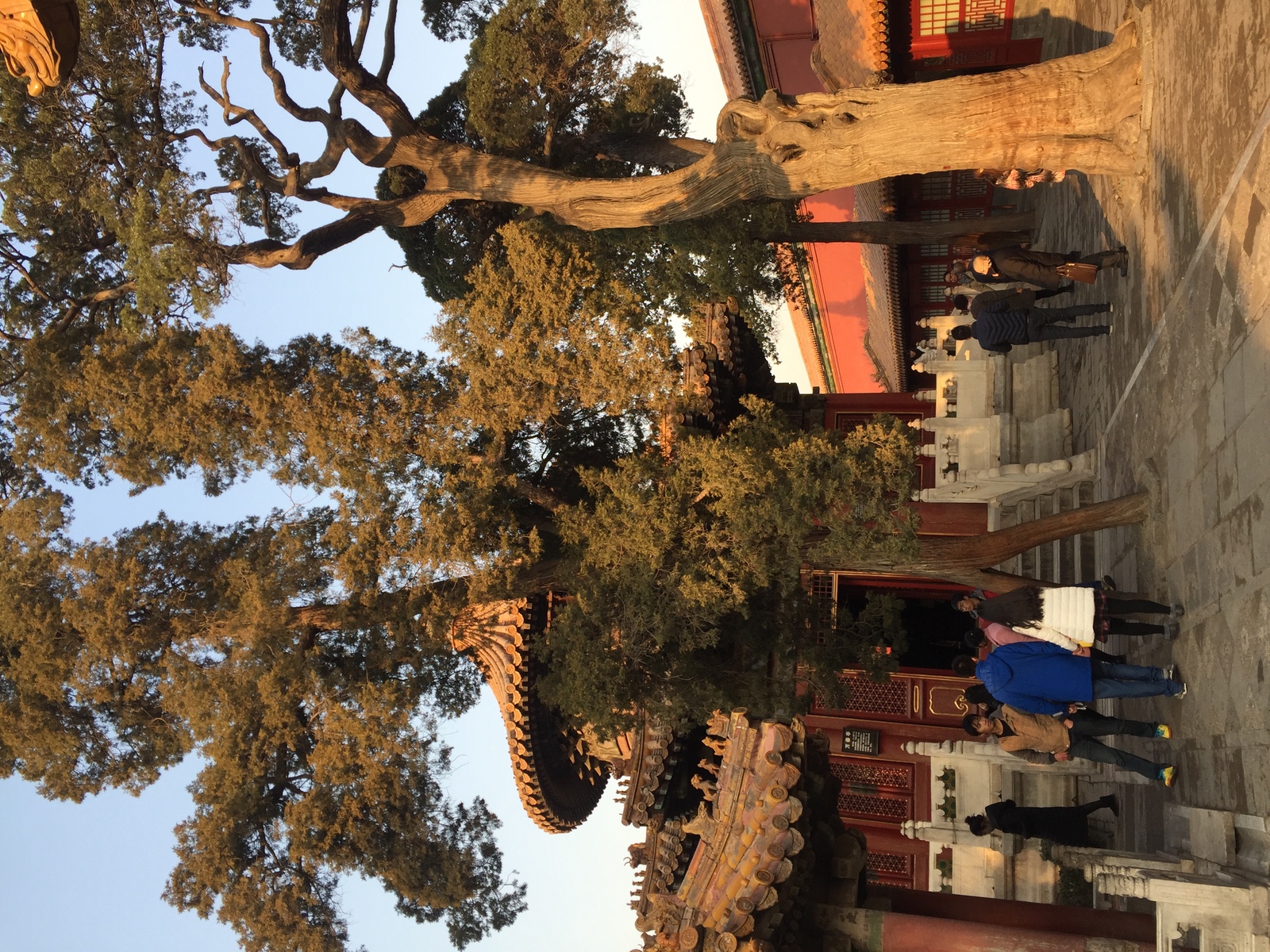 Picture China Beijing Forbidden City 2015-12 200 - Journey Forbidden City