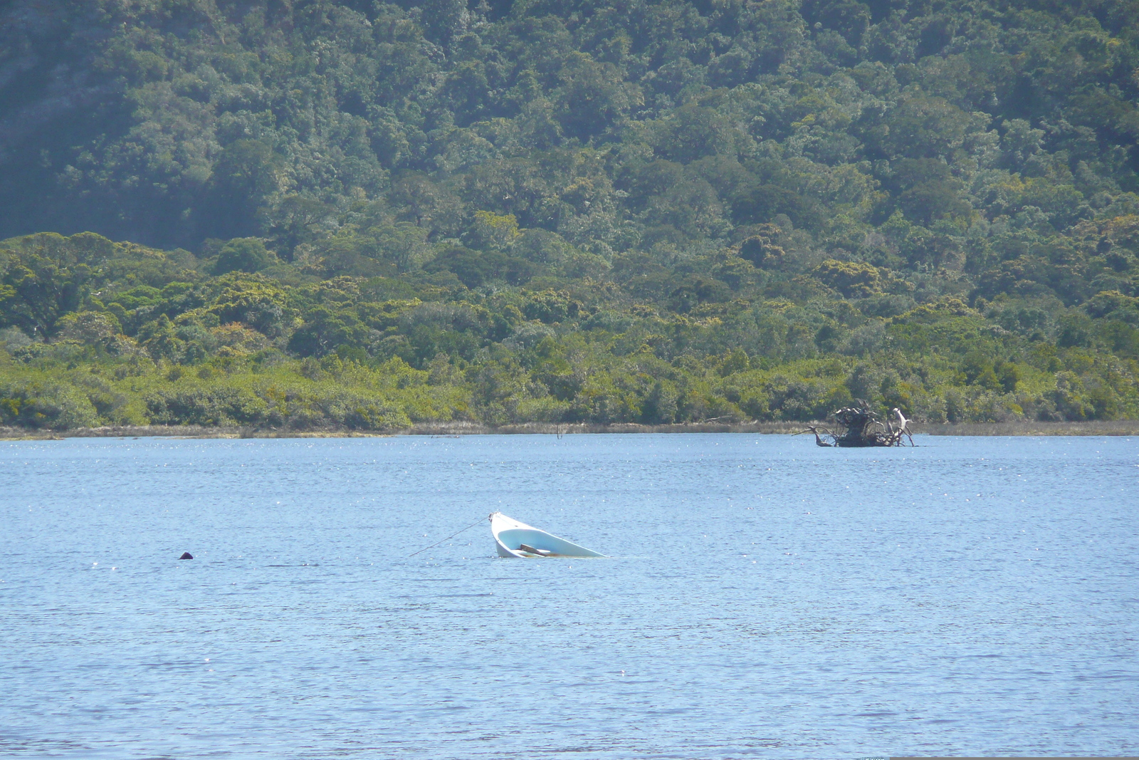 Picture South Africa Nature's Valley 2008-09 13 - Travels Nature's Valley