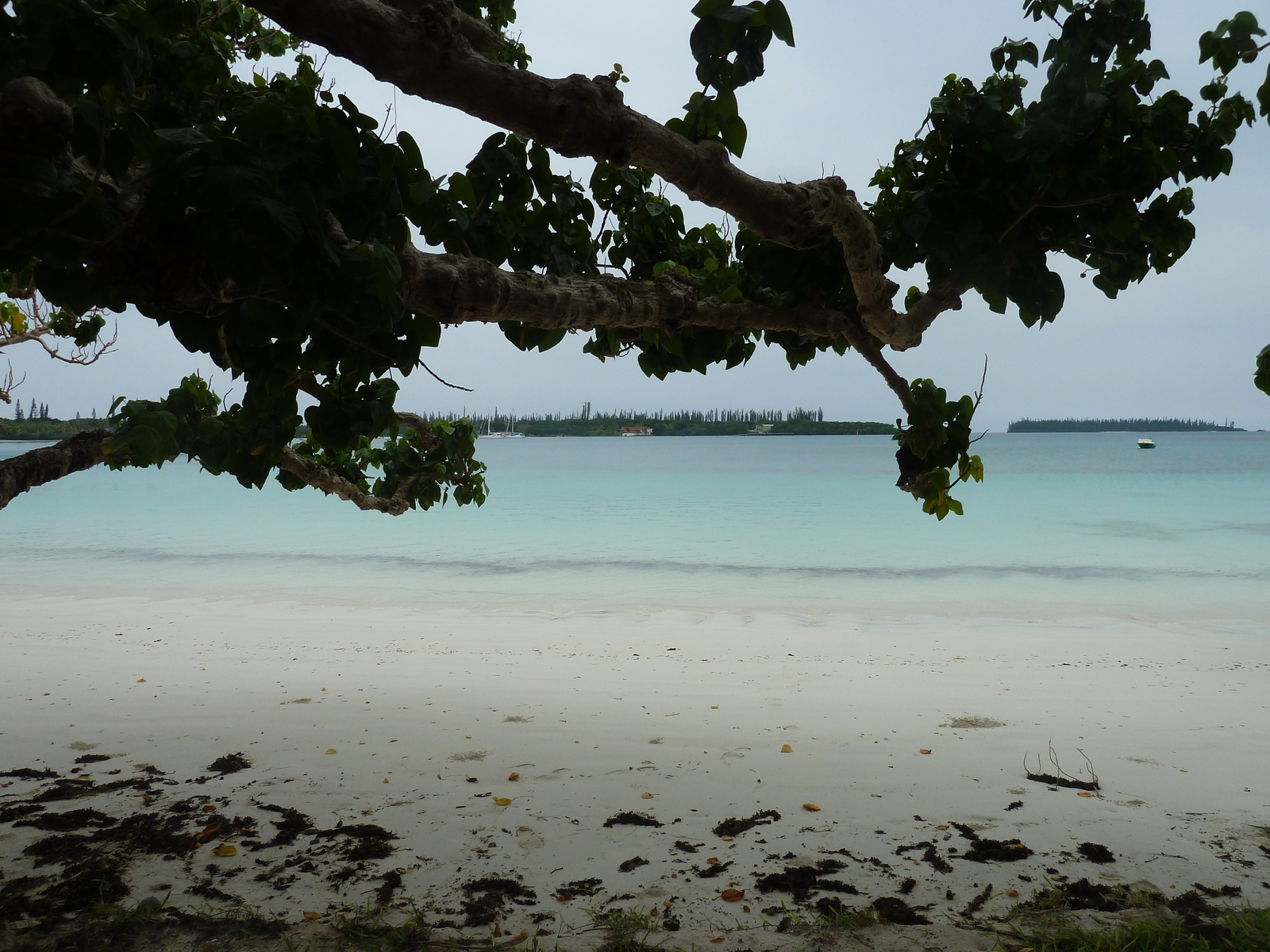 Picture New Caledonia Ile des pins Kuto Beach 2010-05 1 - Views Kuto Beach