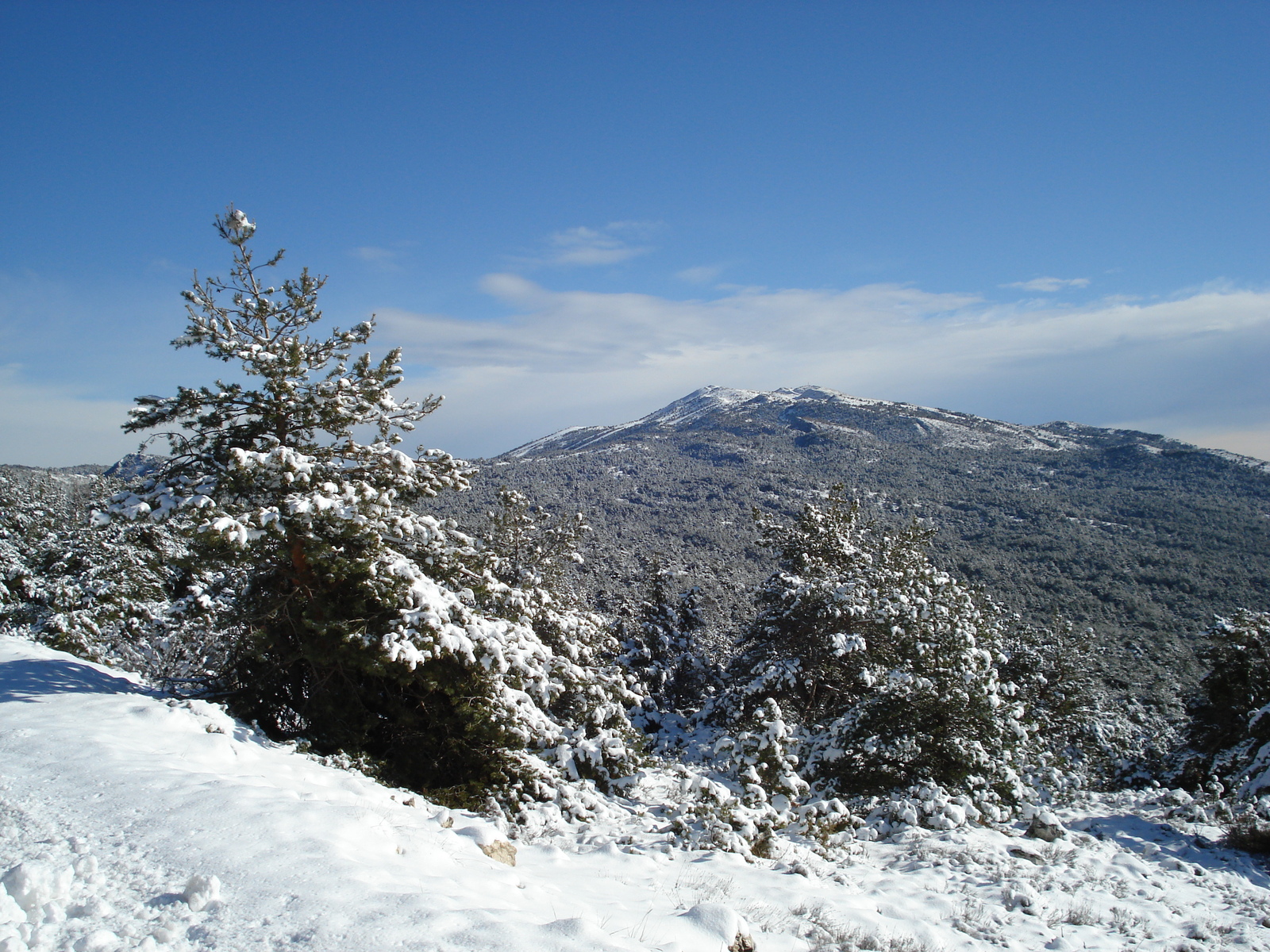 Picture France Coursegoule to Greolieres les neiges road 2007-01 68 - Photographers Coursegoule to Greolieres les neiges road