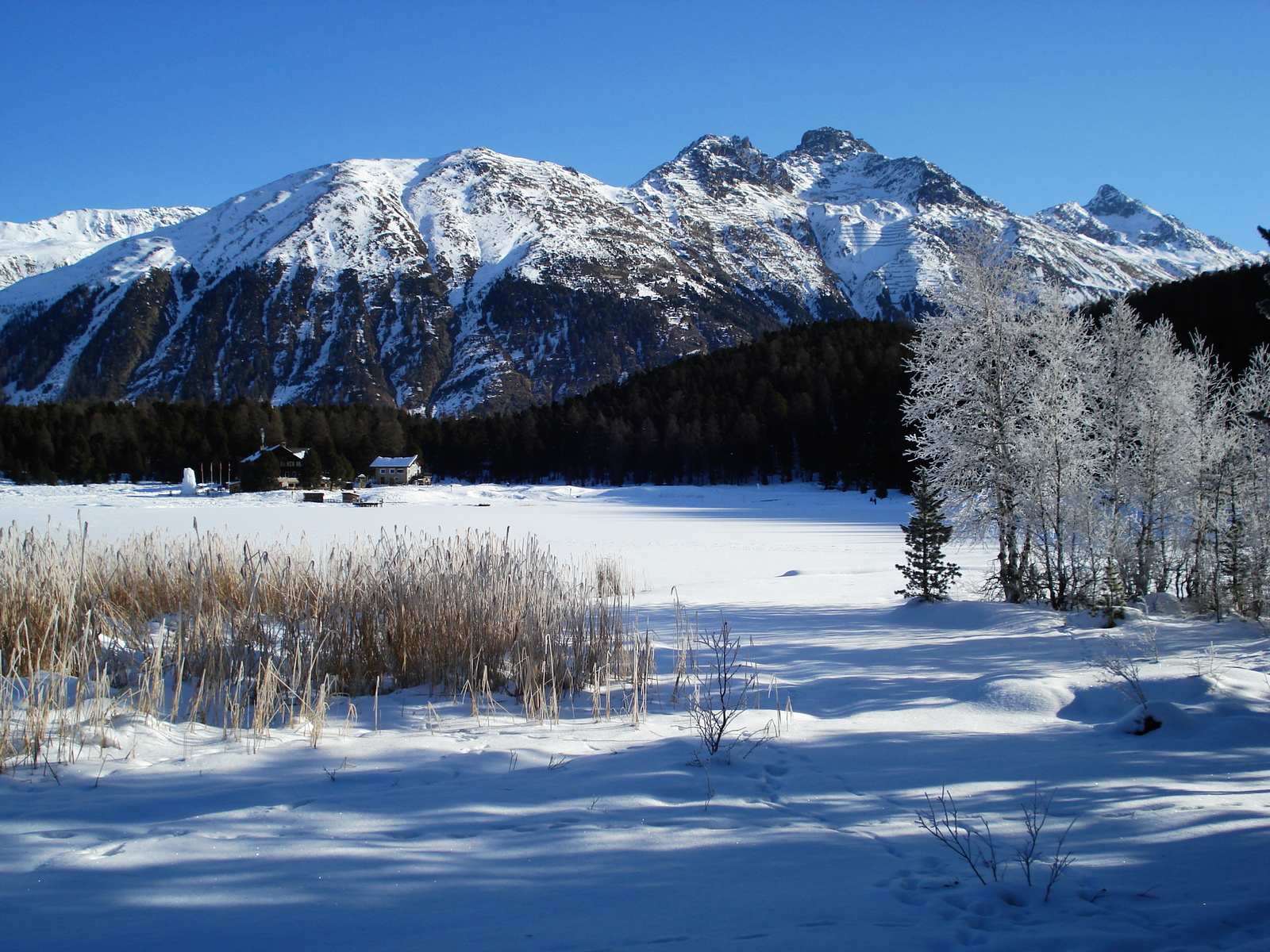 Picture Swiss St Moritz Schlarigna 2007-01 32 - Tourist Attraction St Moritz Schlarigna