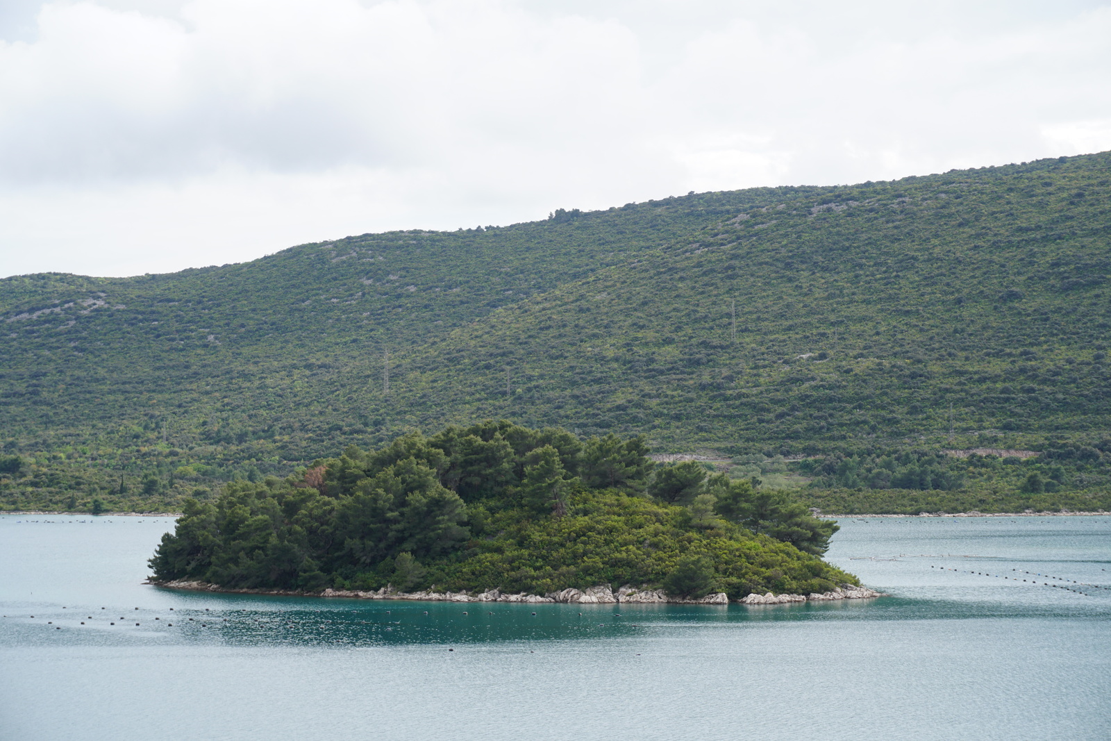 Picture Croatia 2016-04 46 - Photos Croatia