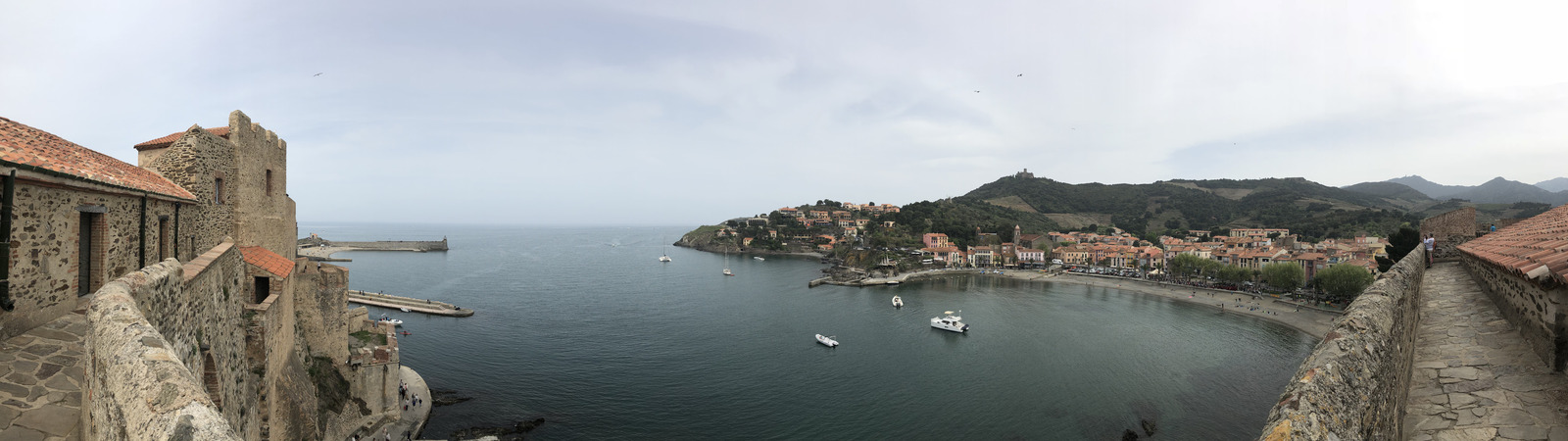 Picture France Collioure 2018-04 63 - Tourist Collioure