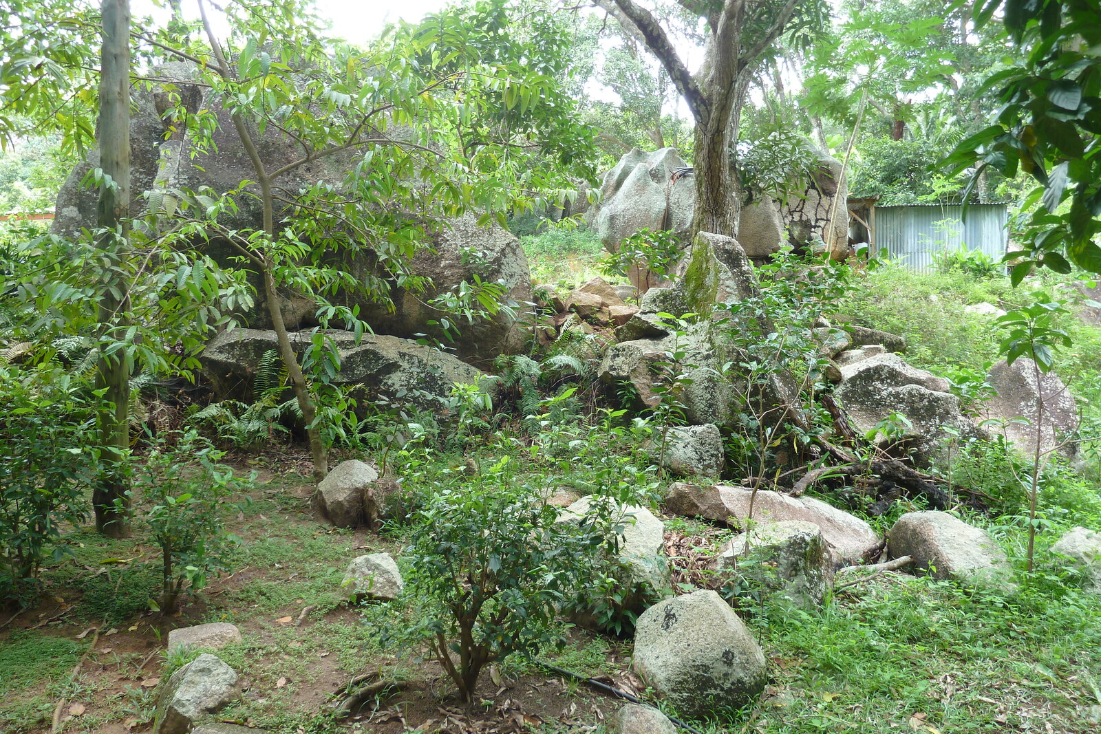 Picture Seychelles La Digue 2011-10 253 - Trip La Digue