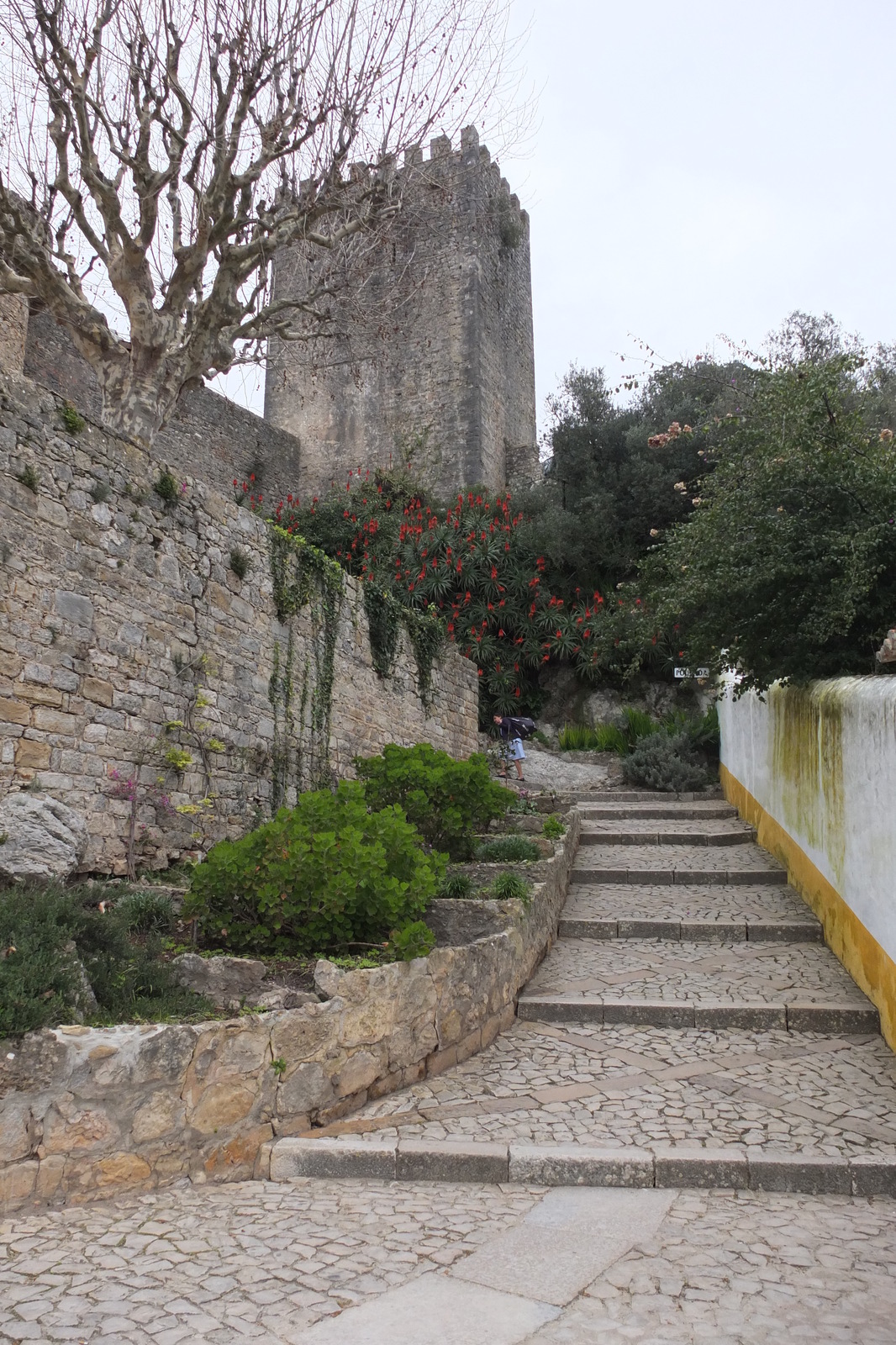 Picture Portugal Obidos 2013-01 10 - Road Obidos