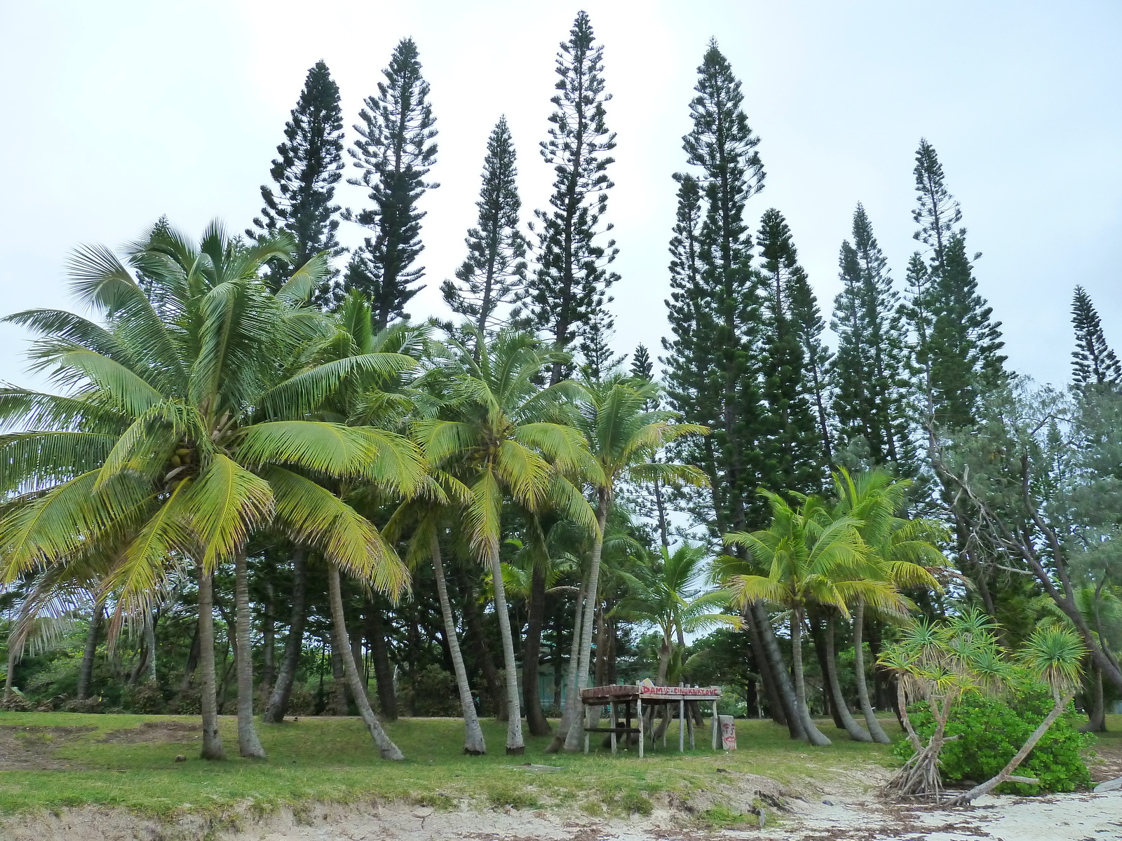 Picture New Caledonia Ile des pins Kuto Beach 2010-05 15 - Views Kuto Beach