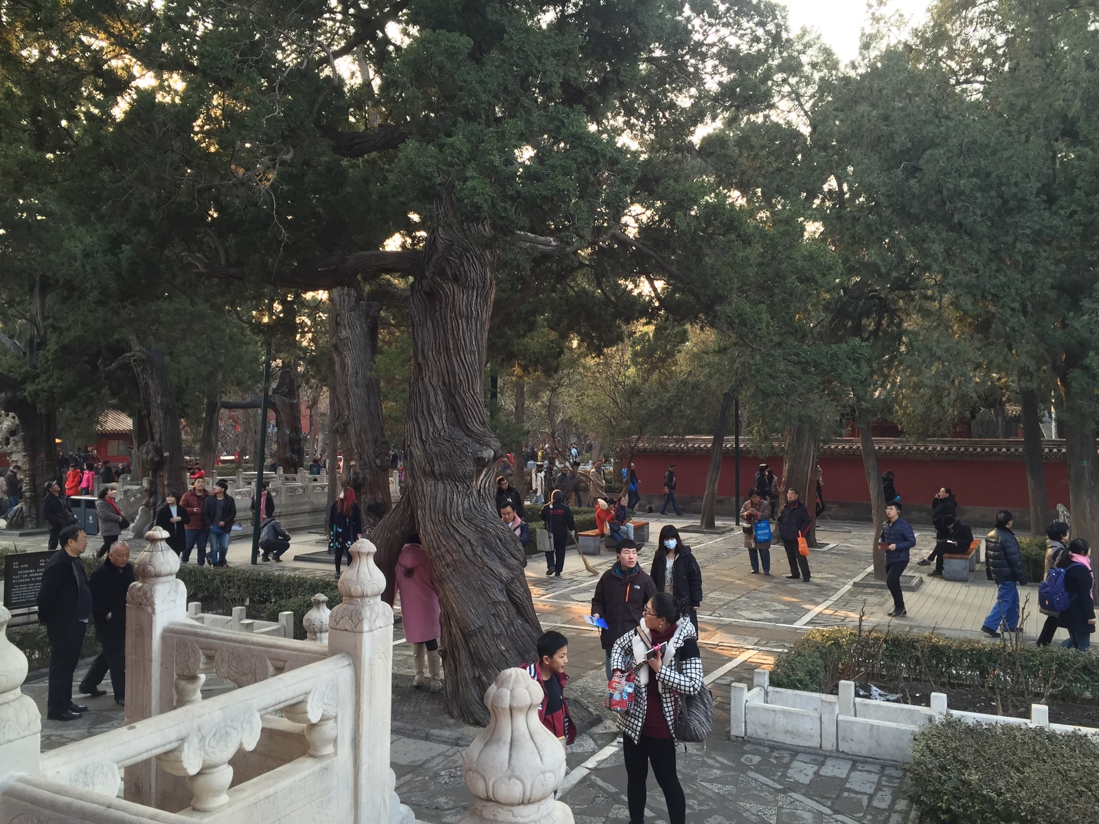 Picture China Beijing Forbidden City 2015-12 192 - Road Forbidden City