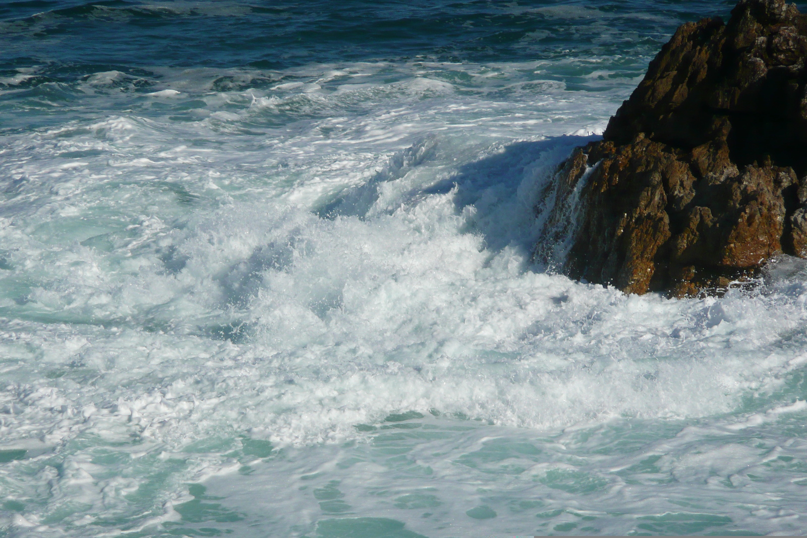 Picture South Africa Harmanus 2008-09 259 - Flight Harmanus