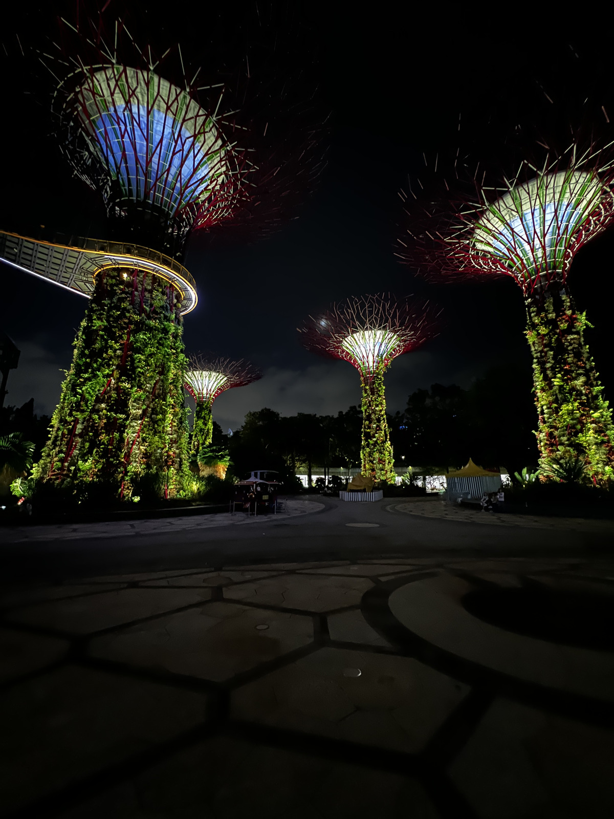 Picture Singapore Garden by the bay 2023-01 27 - Car Rental Garden by the bay