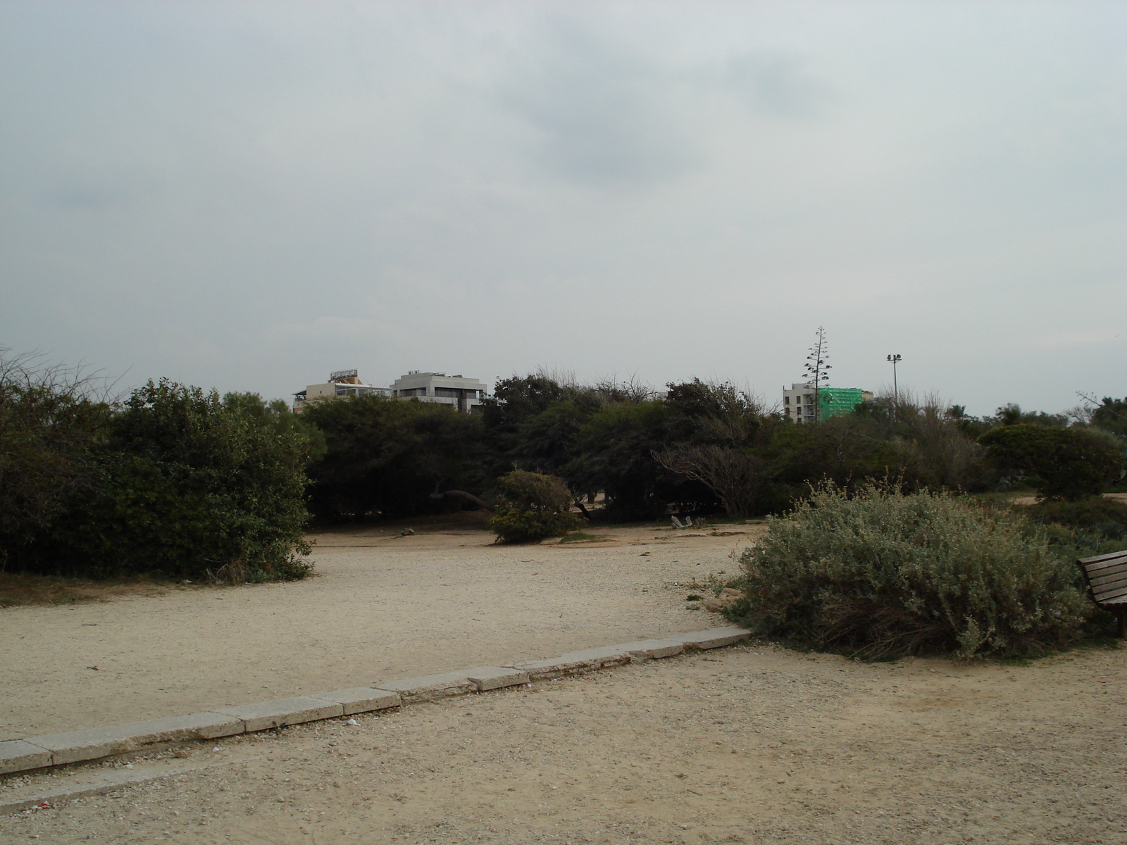 Picture Israel Tel Aviv Tel Aviv Sea Shore 2006-12 167 - View Tel Aviv Sea Shore