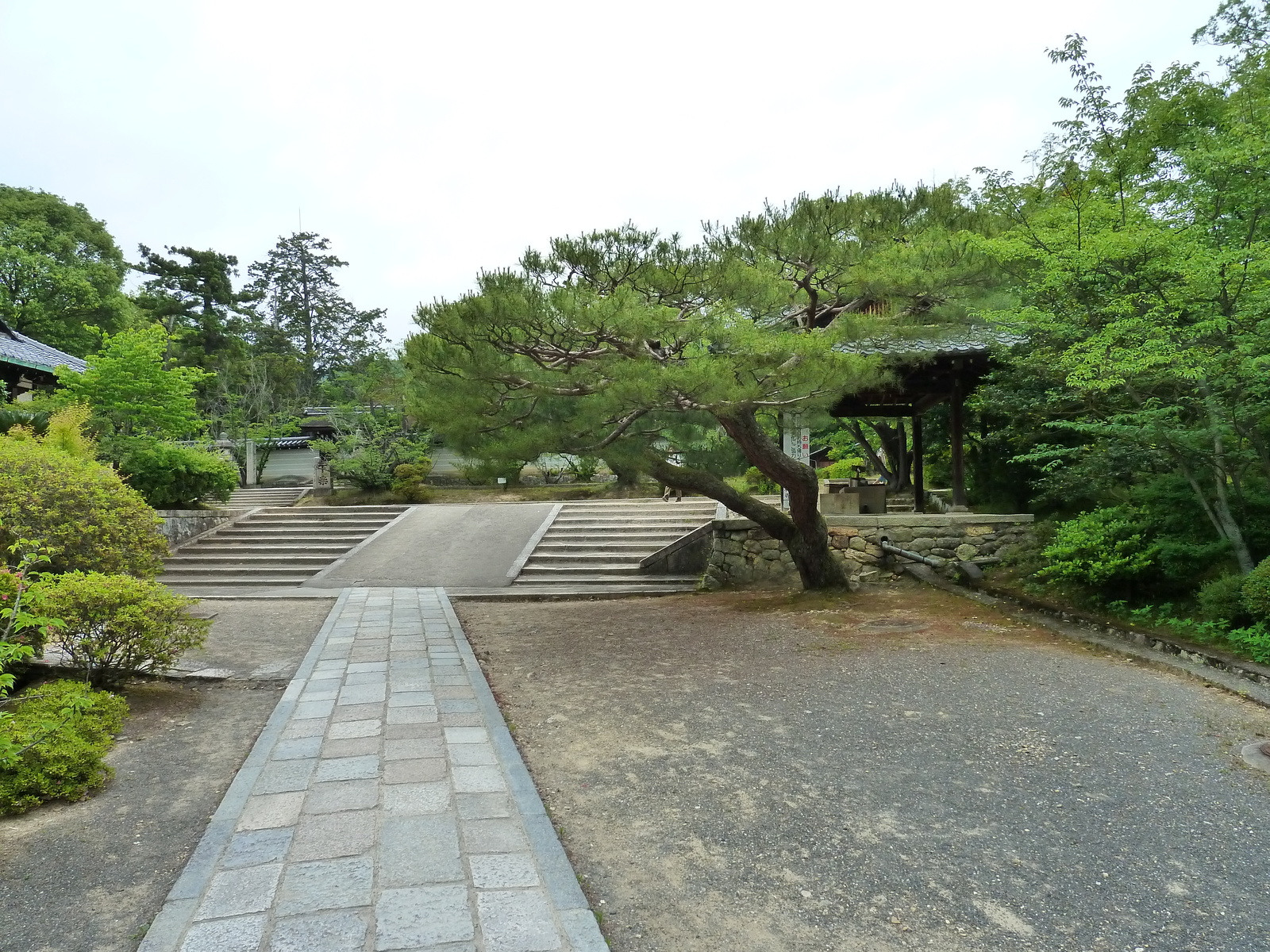 Picture Japan Kyoto Ninna ji Temple 2010-06 39 - Sight Ninna ji Temple