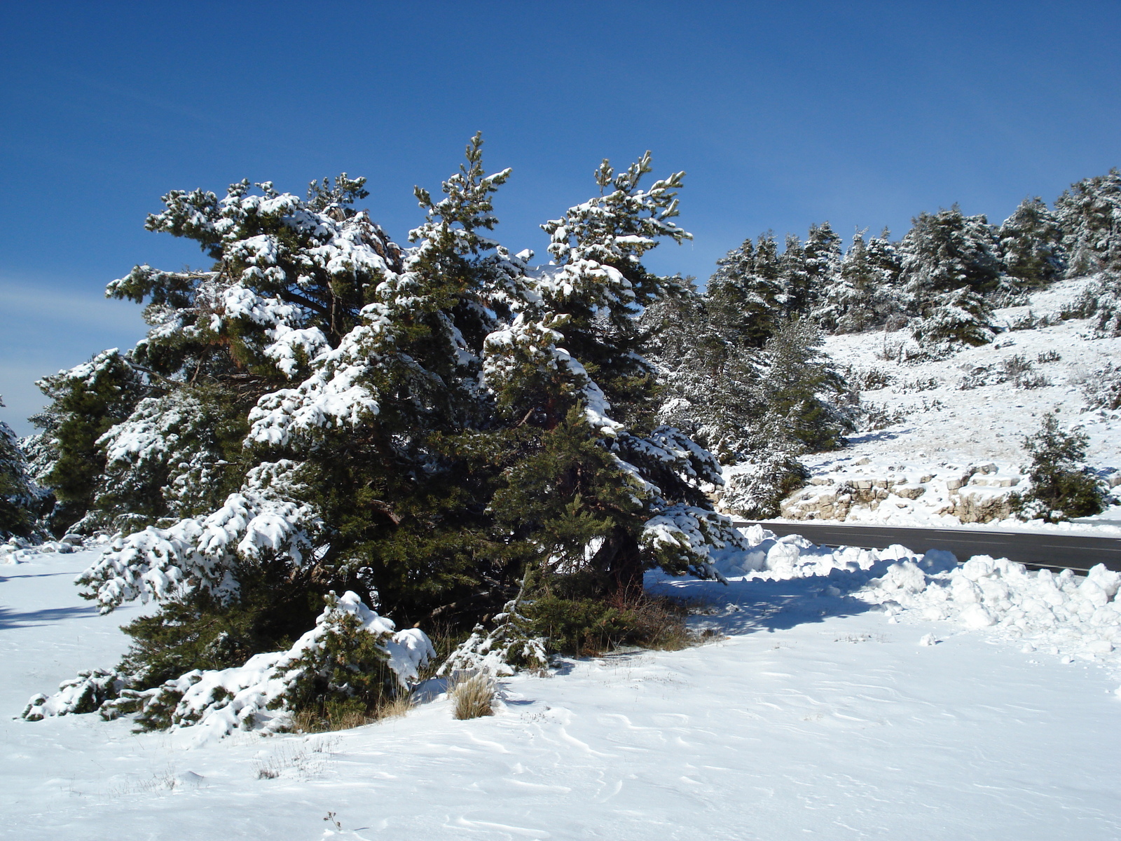 Picture France Greolieres les neiges 2007-01 20 - Car Rental Greolieres les neiges