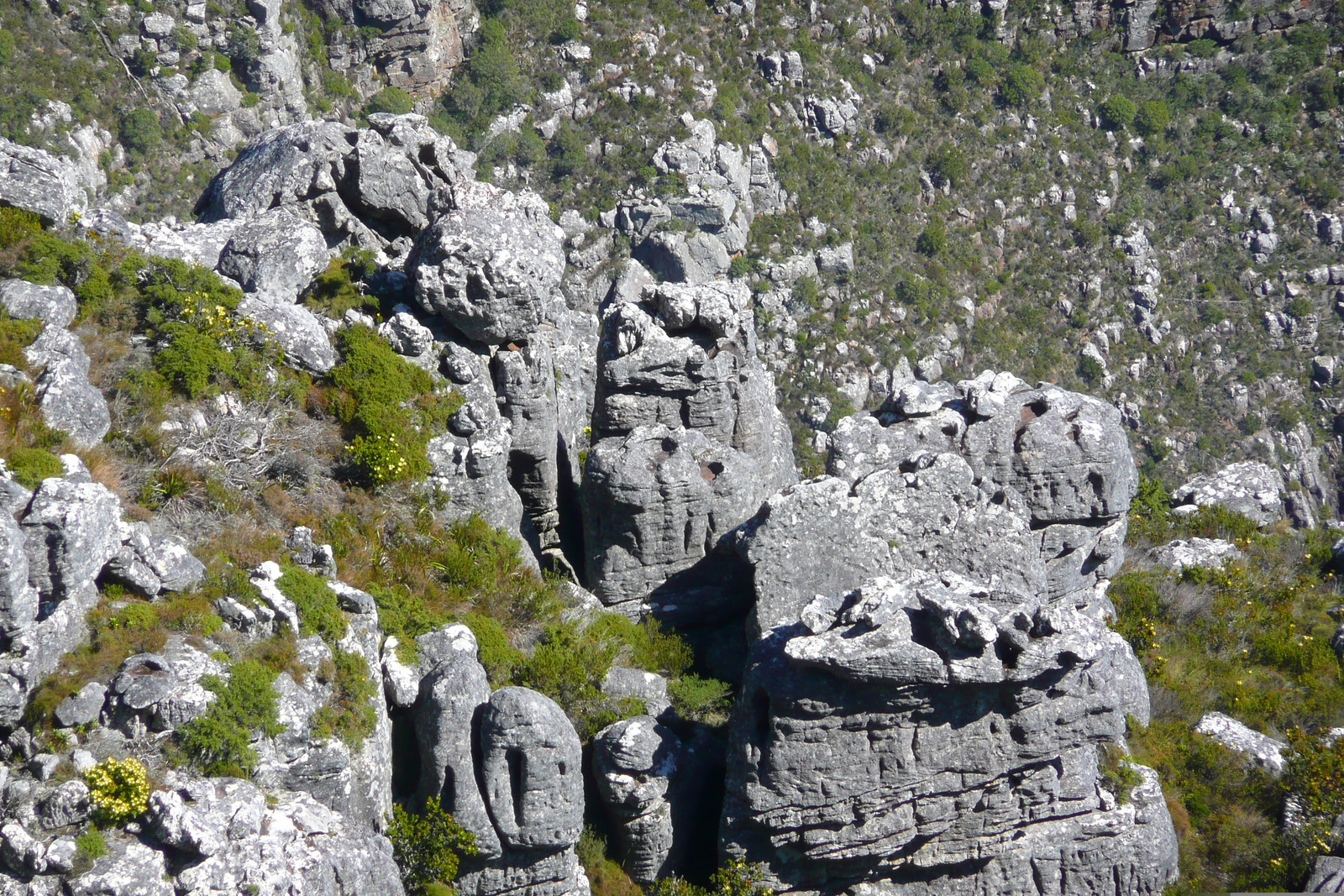 Picture South Africa Cape Town Table Mountain 2008-09 37 - Pictures Table Mountain