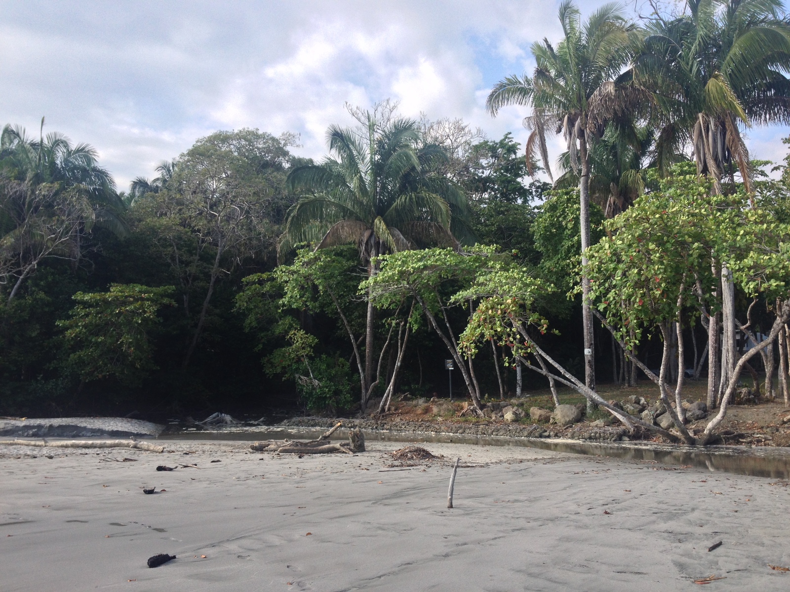 Picture Costa Rica Manuel Antonio 2015-03 94 - Photo Manuel Antonio