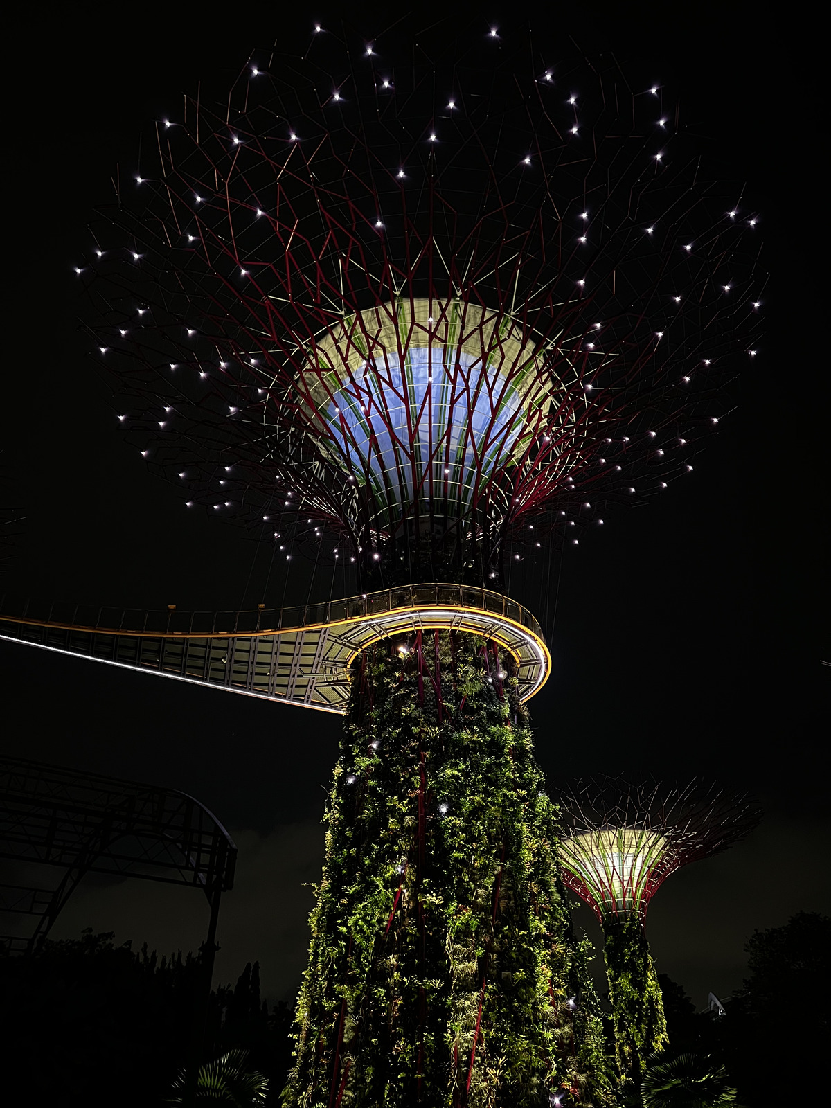 Picture Singapore Garden by the bay 2023-01 44 - Road Map Garden by the bay