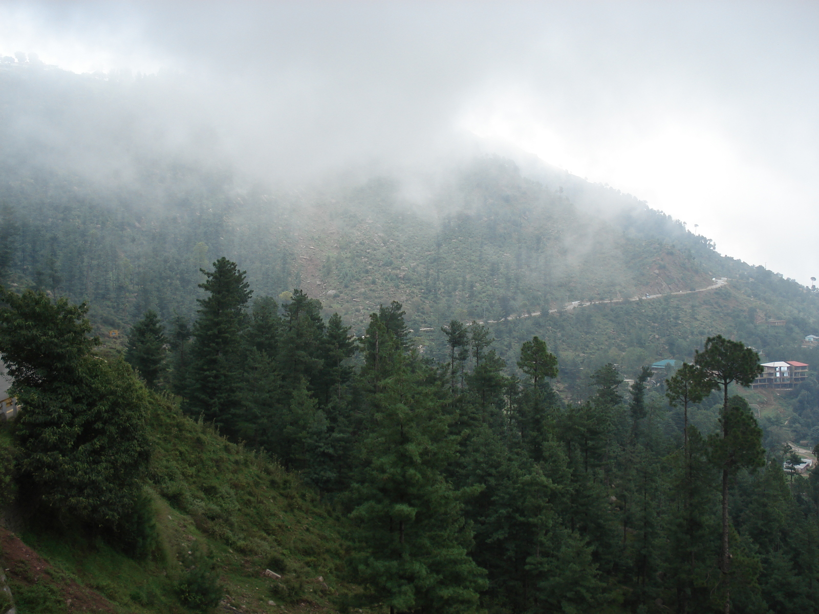 Picture Pakistan Murree 2006-08 38 - Photographers Murree