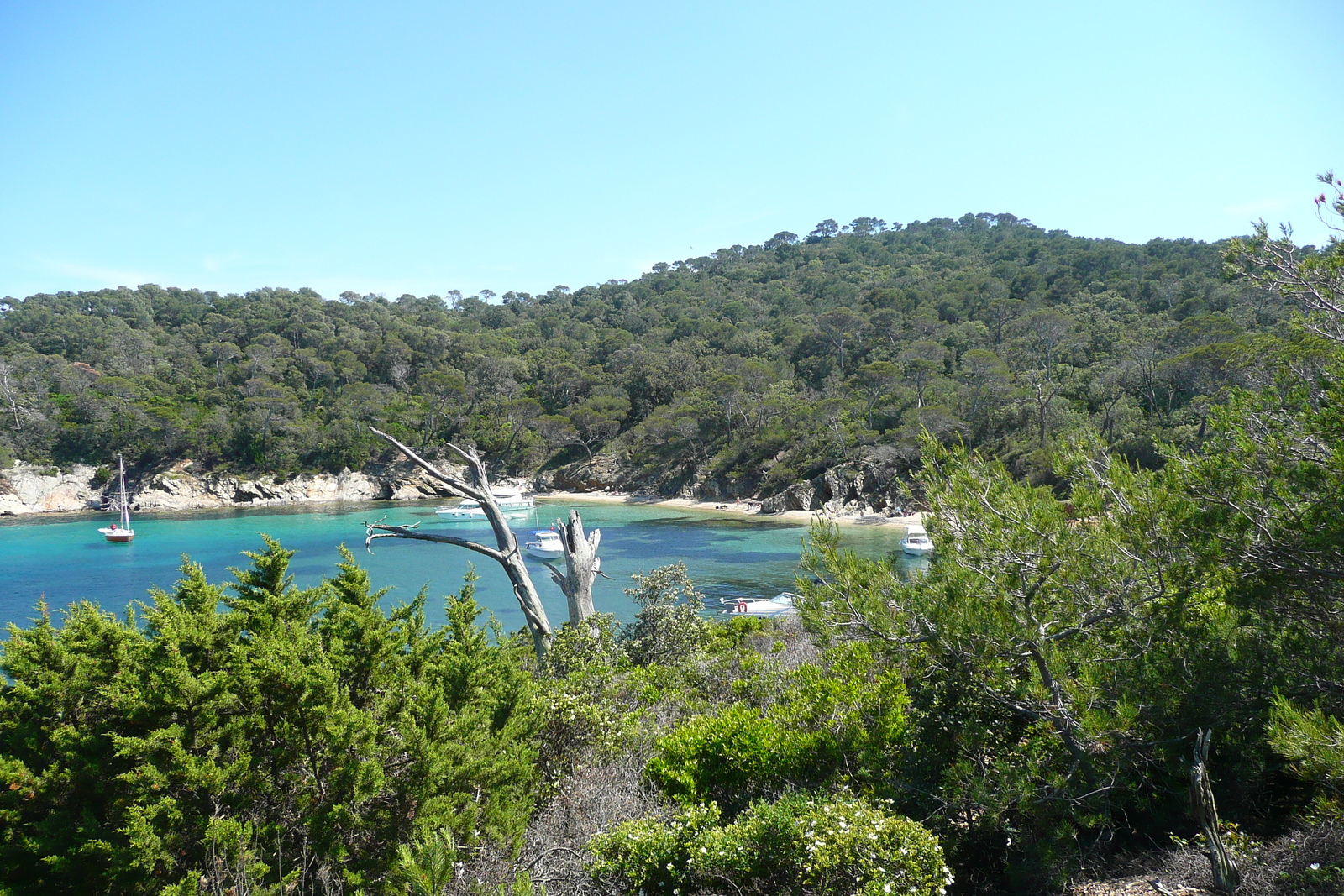 Picture France Porquerolles Island Alycastre beach 2008-05 6 - Photos Alycastre beach