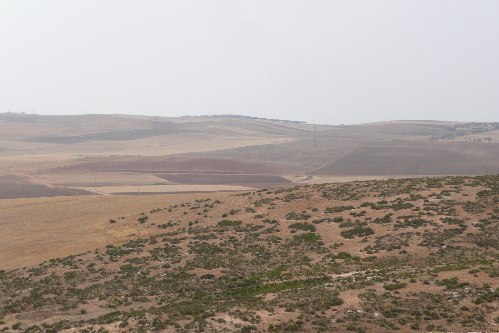 Picture Morocco Fes to Rabat Road 2008-07 52 - Photographer Fes to Rabat Road