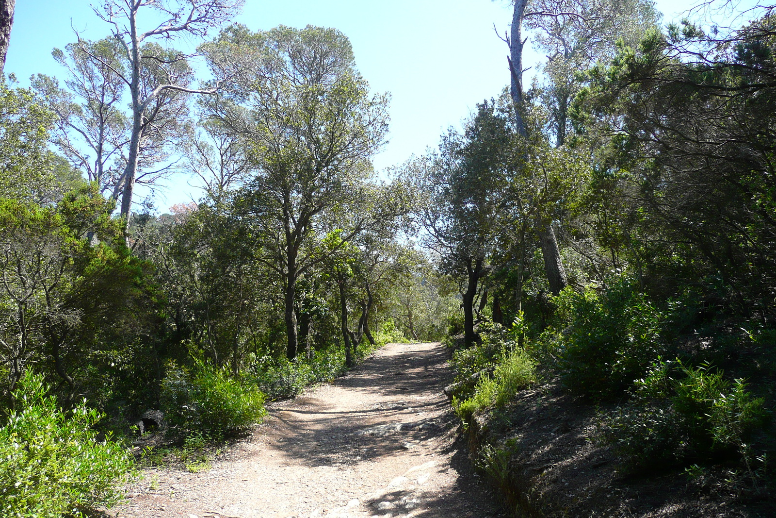 Picture France Porquerolles Island Alycastre beach 2008-05 17 - Trail Alycastre beach