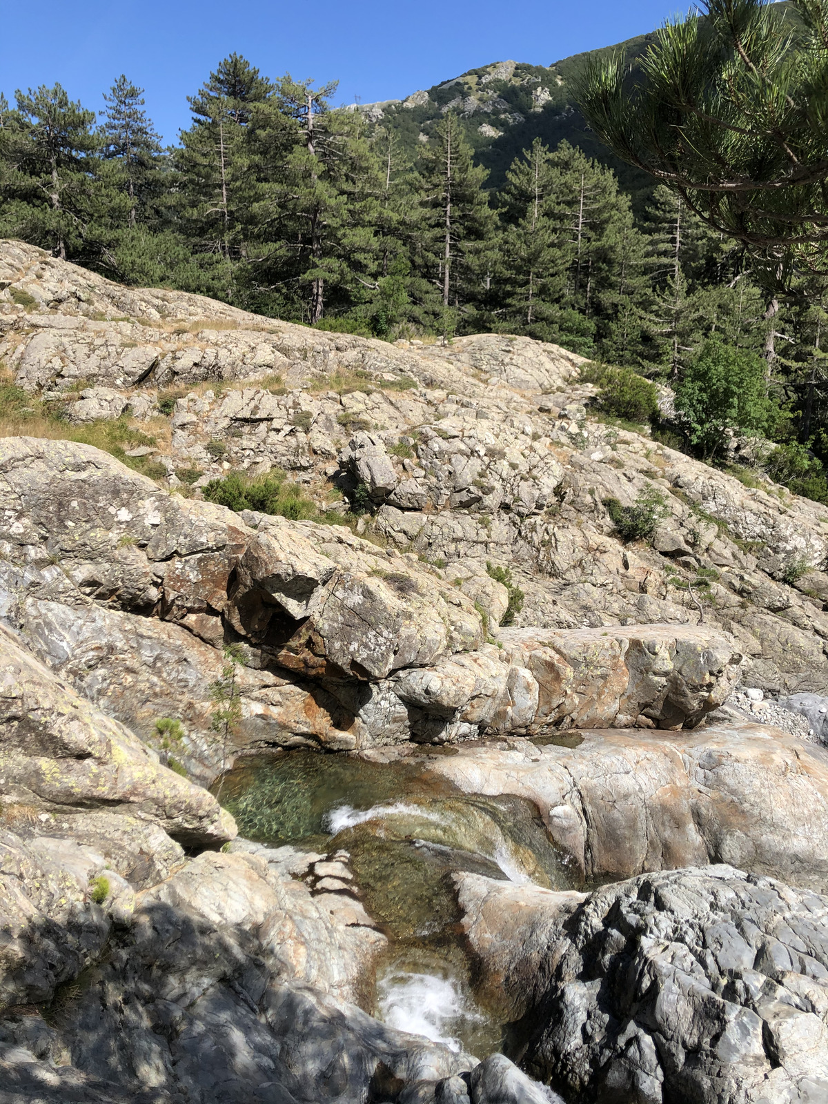 Picture France Corsica Cascade des Anglais 2020-07 36 - Road Cascade des Anglais