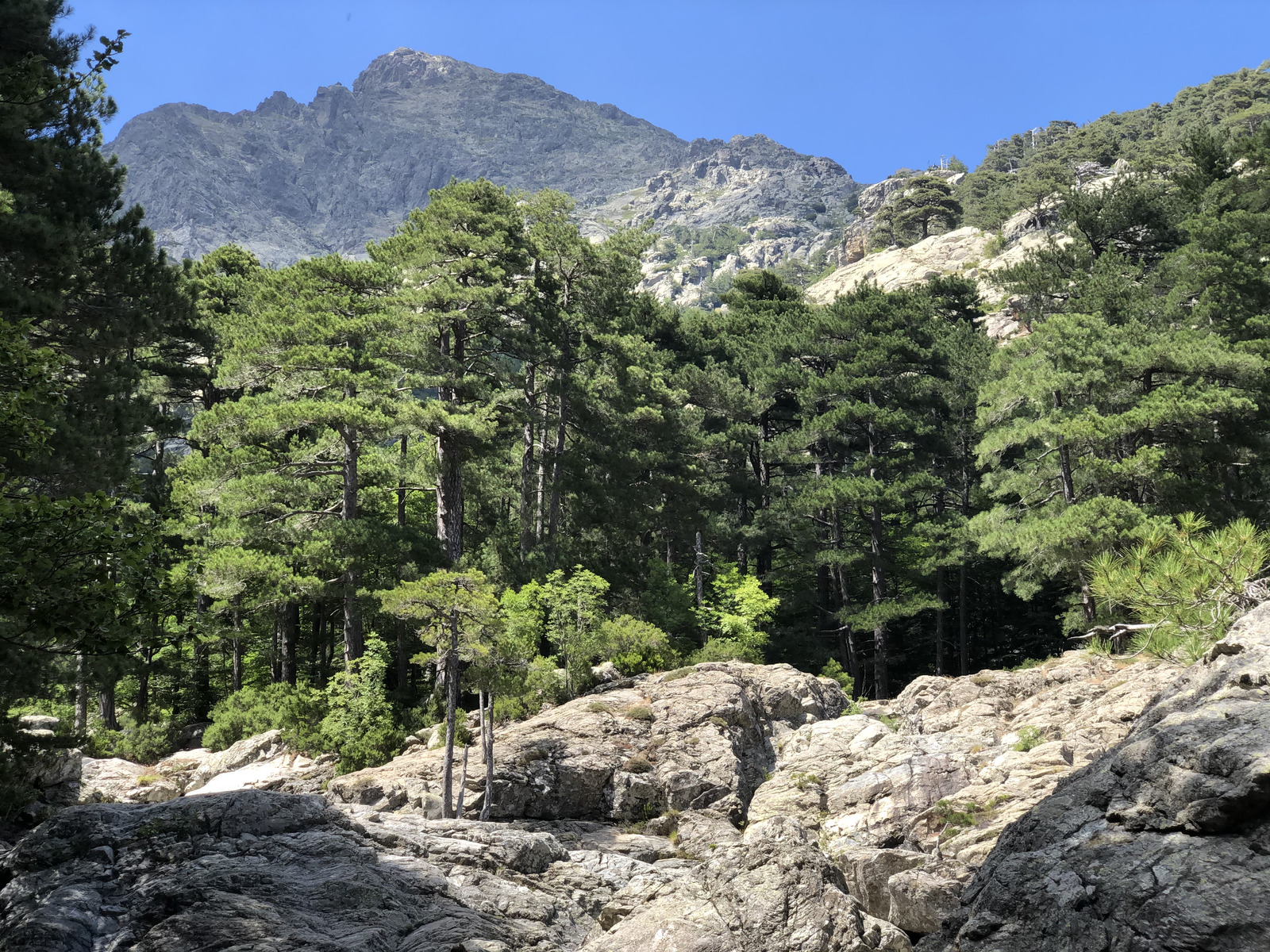 Picture France Corsica Cascade des Anglais 2020-07 53 - Trail Cascade des Anglais