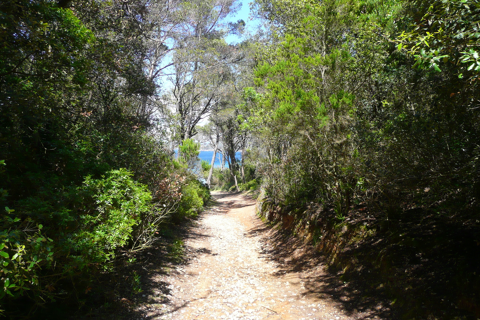 Picture France Porquerolles Island Alycastre beach 2008-05 13 - Journey Alycastre beach