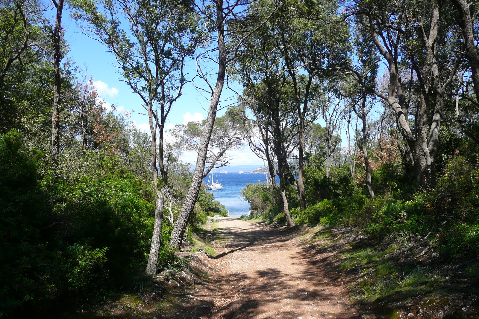 Picture France Porquerolles Island Alycastre beach 2008-05 14 - Photographer Alycastre beach