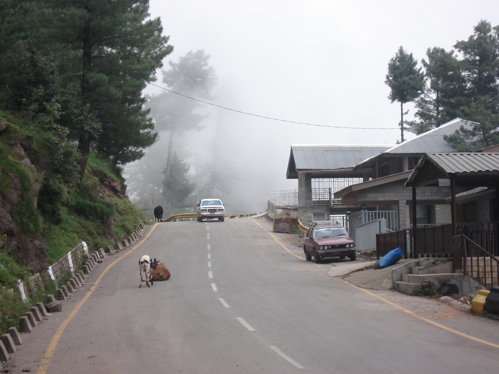 Picture Pakistan Murree 2006-08 13 - Store Murree