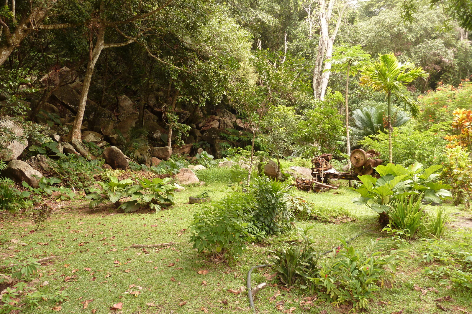 Picture Seychelles La Digue 2011-10 136 - Tourist Attraction La Digue