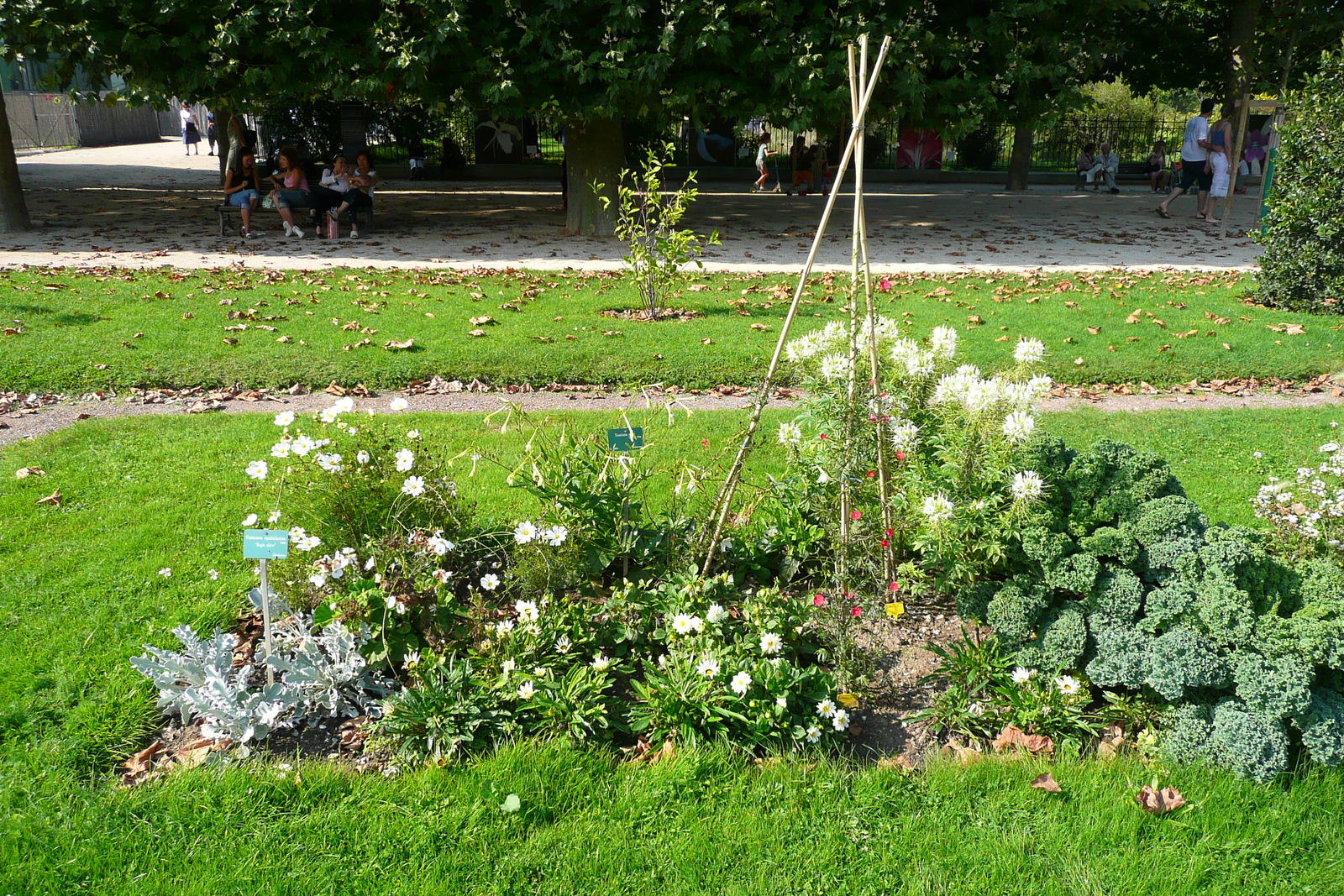 Picture France Paris Jardin des Plantes 2007-08 125 - Visit Jardin des Plantes